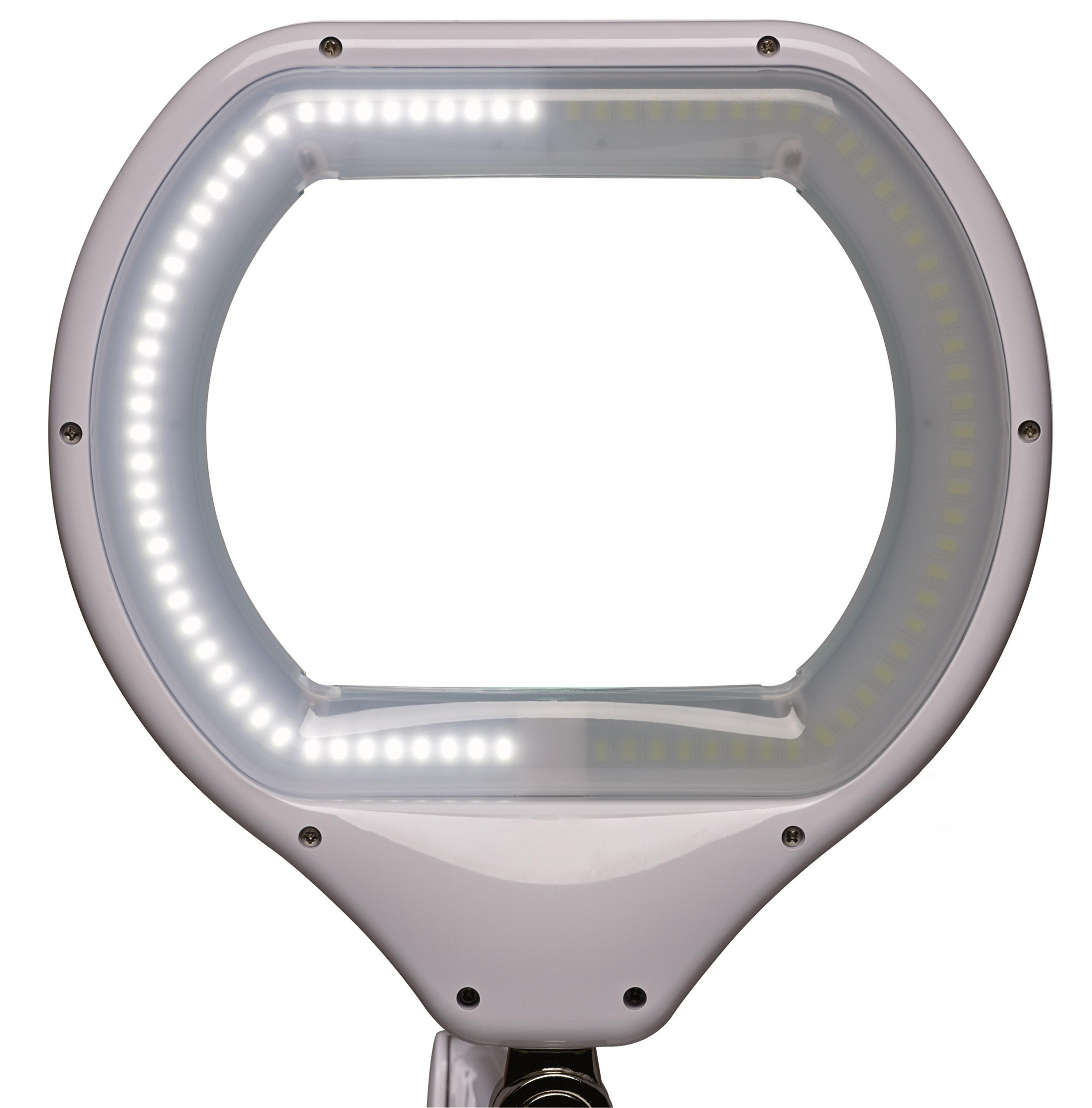 MAULcrystal Magnifying LED Lamp