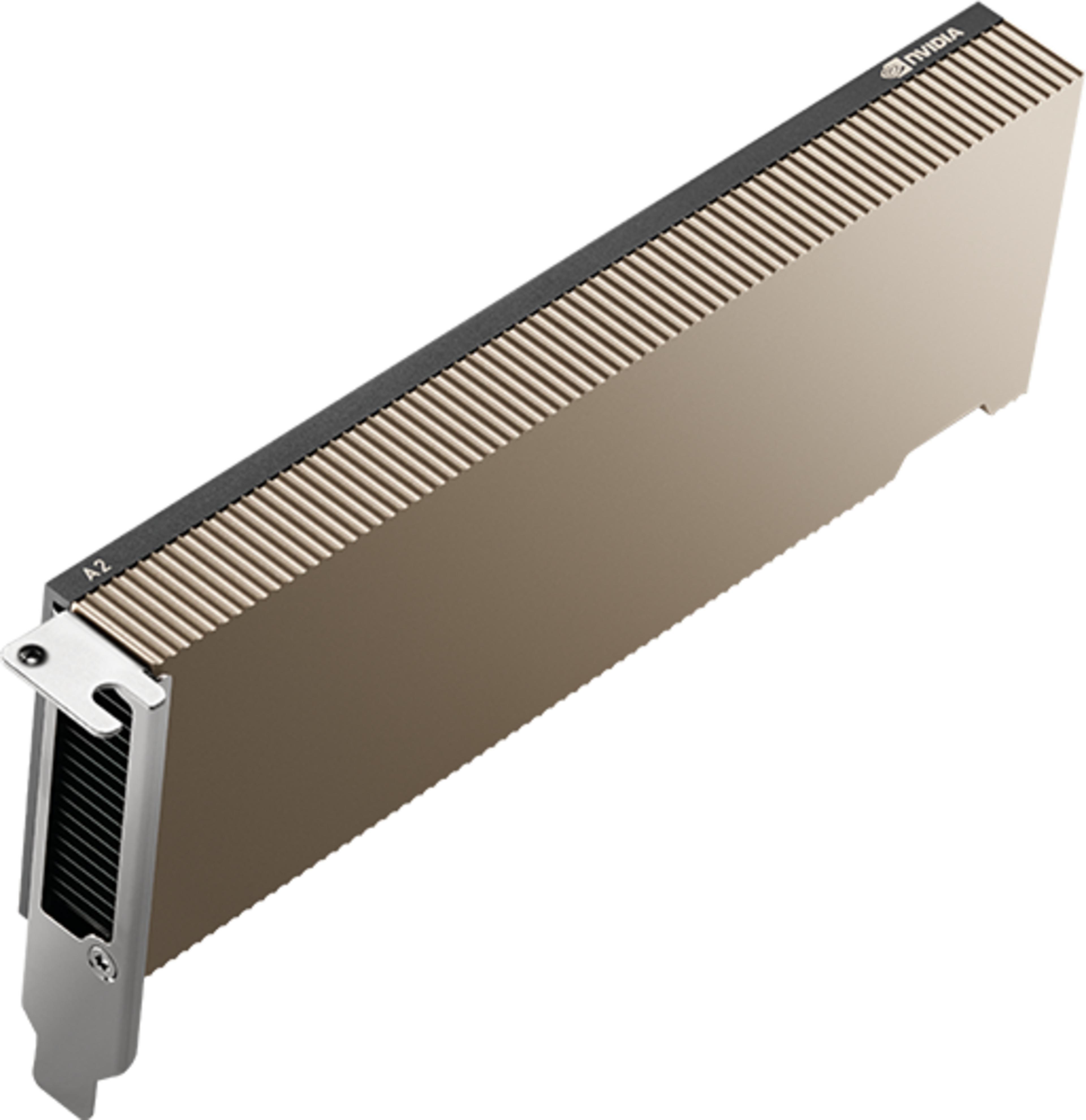 PNY NVIDIA A2 Graphics Card