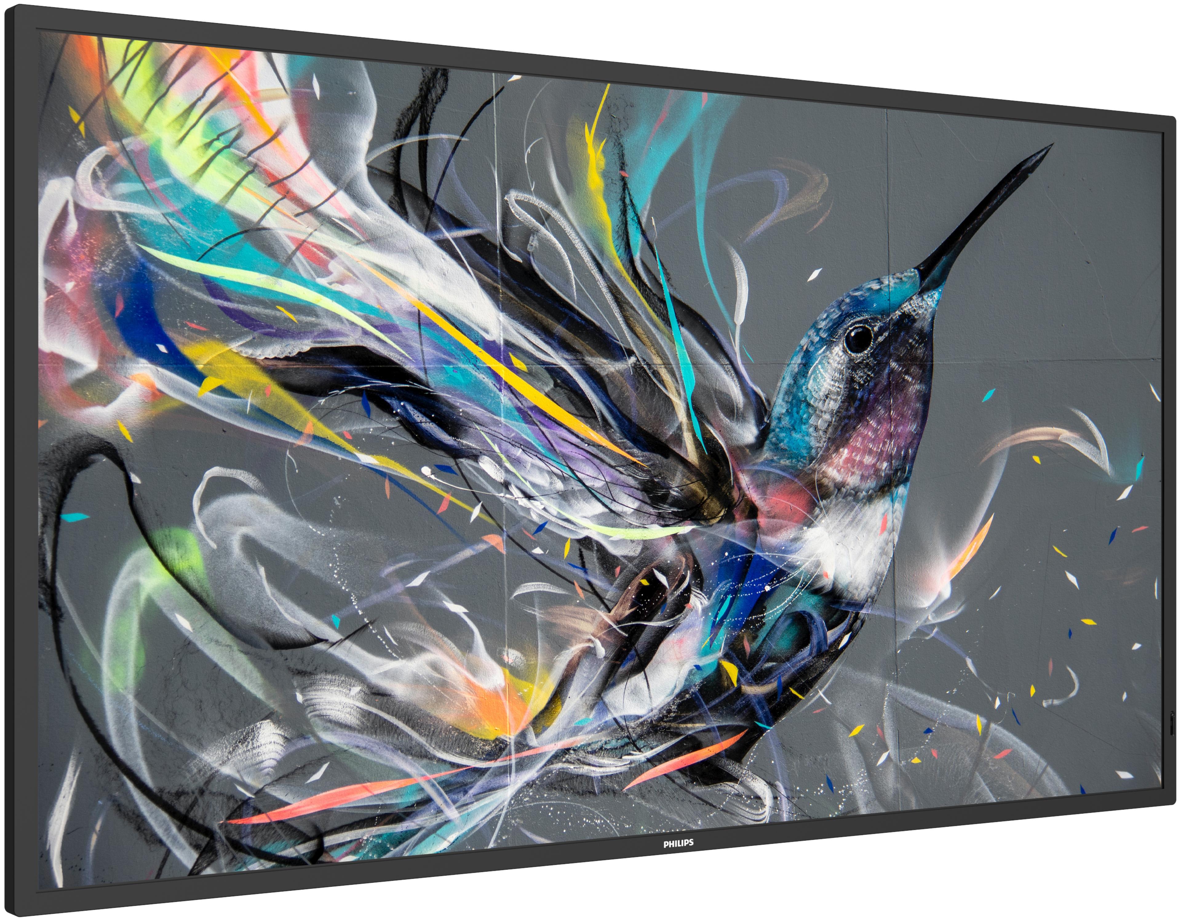 Philips 55BDL3511Q Display