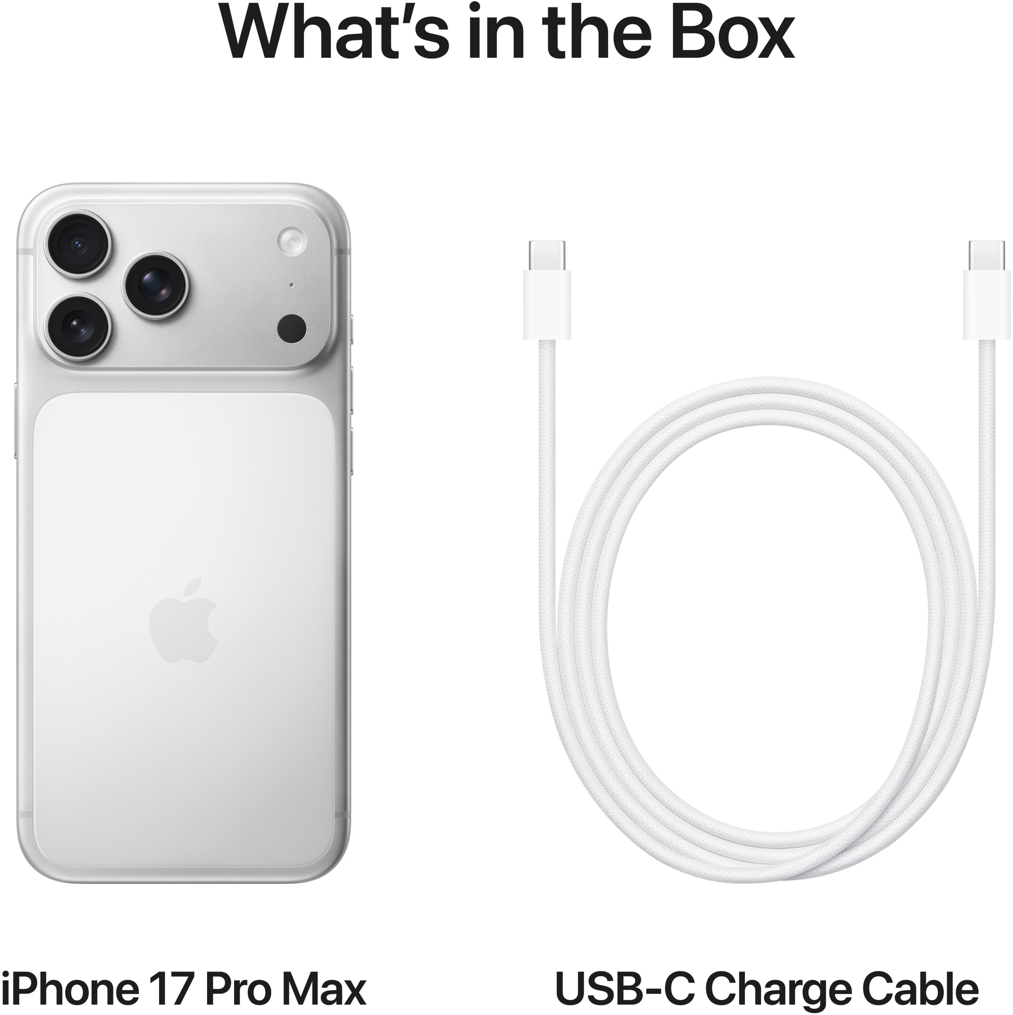 Apple iPhone 17 Pro Max 256 GB silber