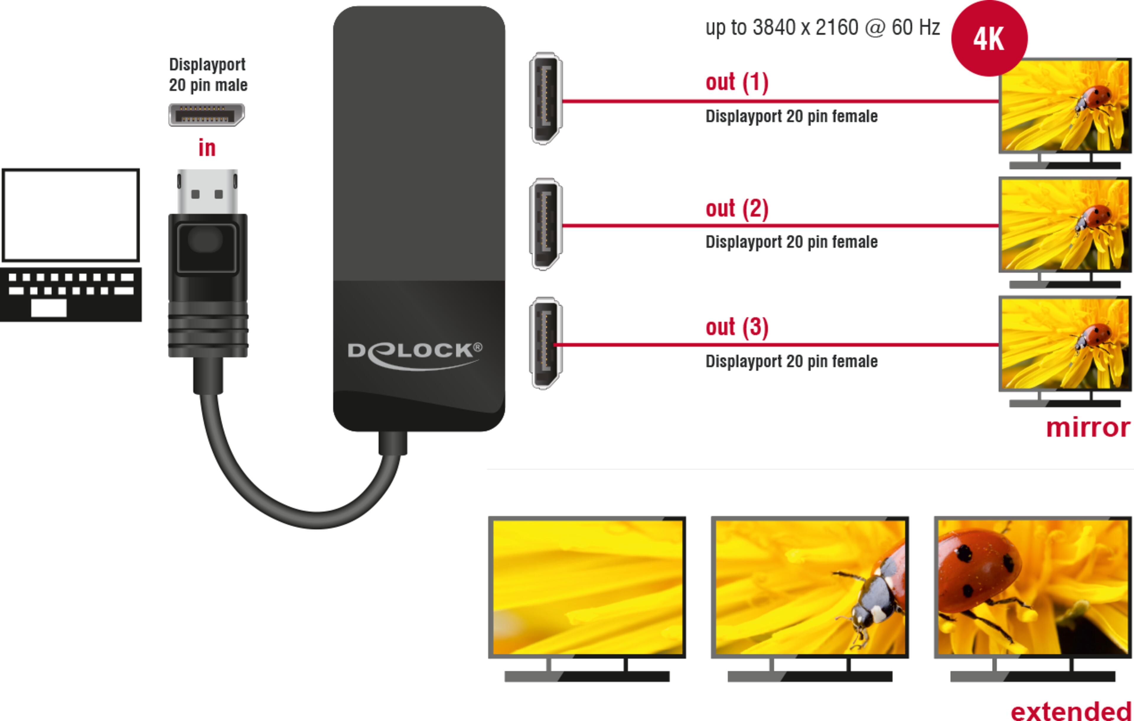 Delock DisplayPort Splitter 1:3
