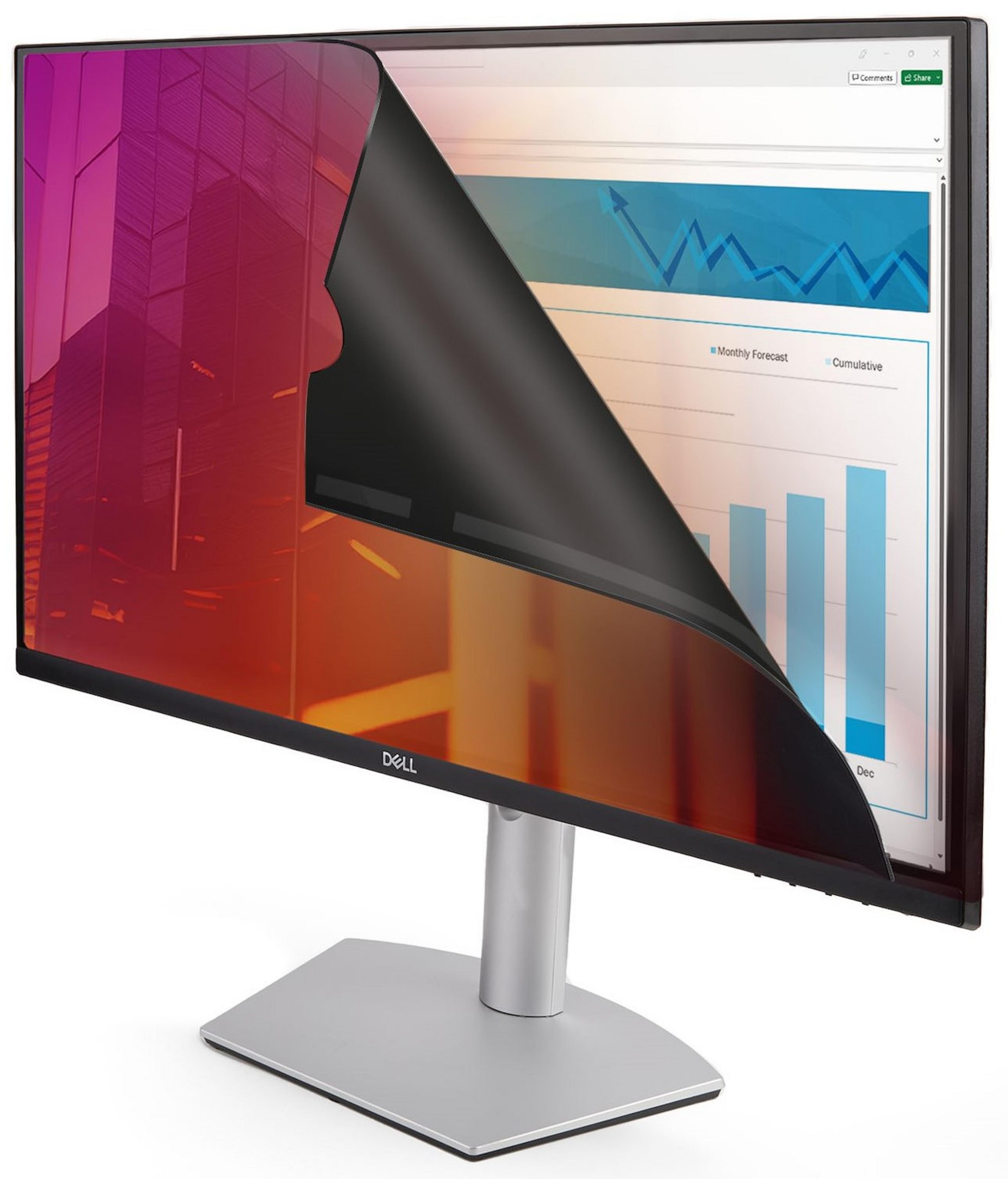 Filtre confid. 24" StarTech amovible