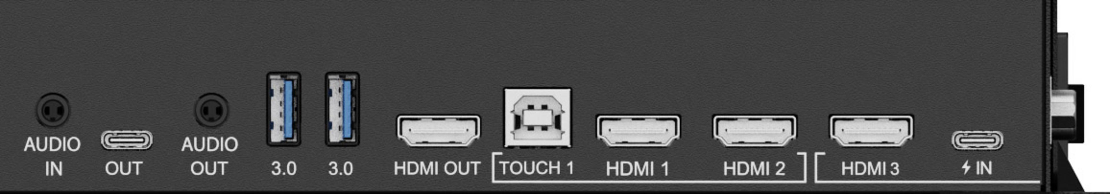 Pantalla táctil iiyama PL TE6514MIS-B2AG