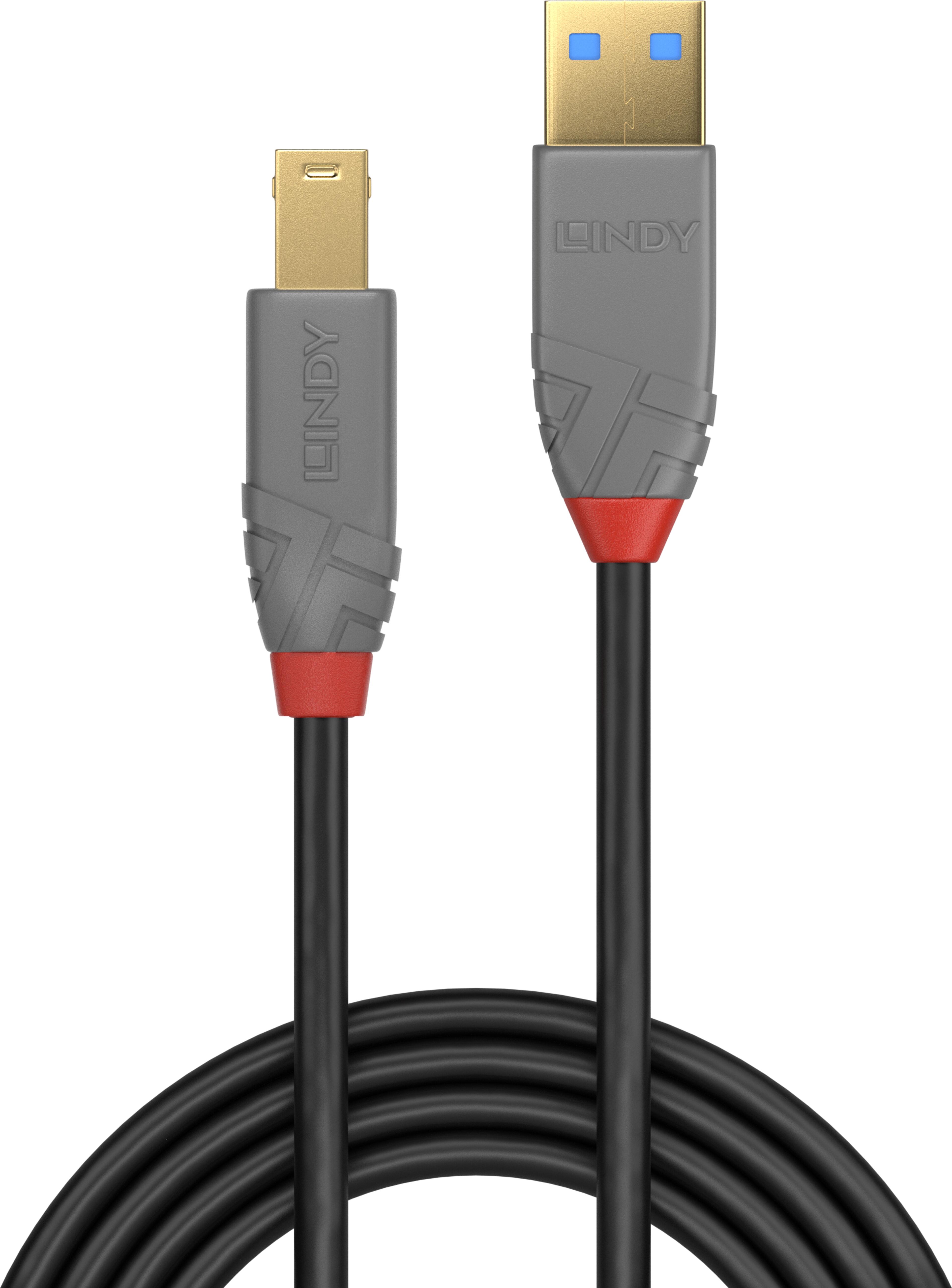 LINDY USB Typ A - B Kabel 0,5 m