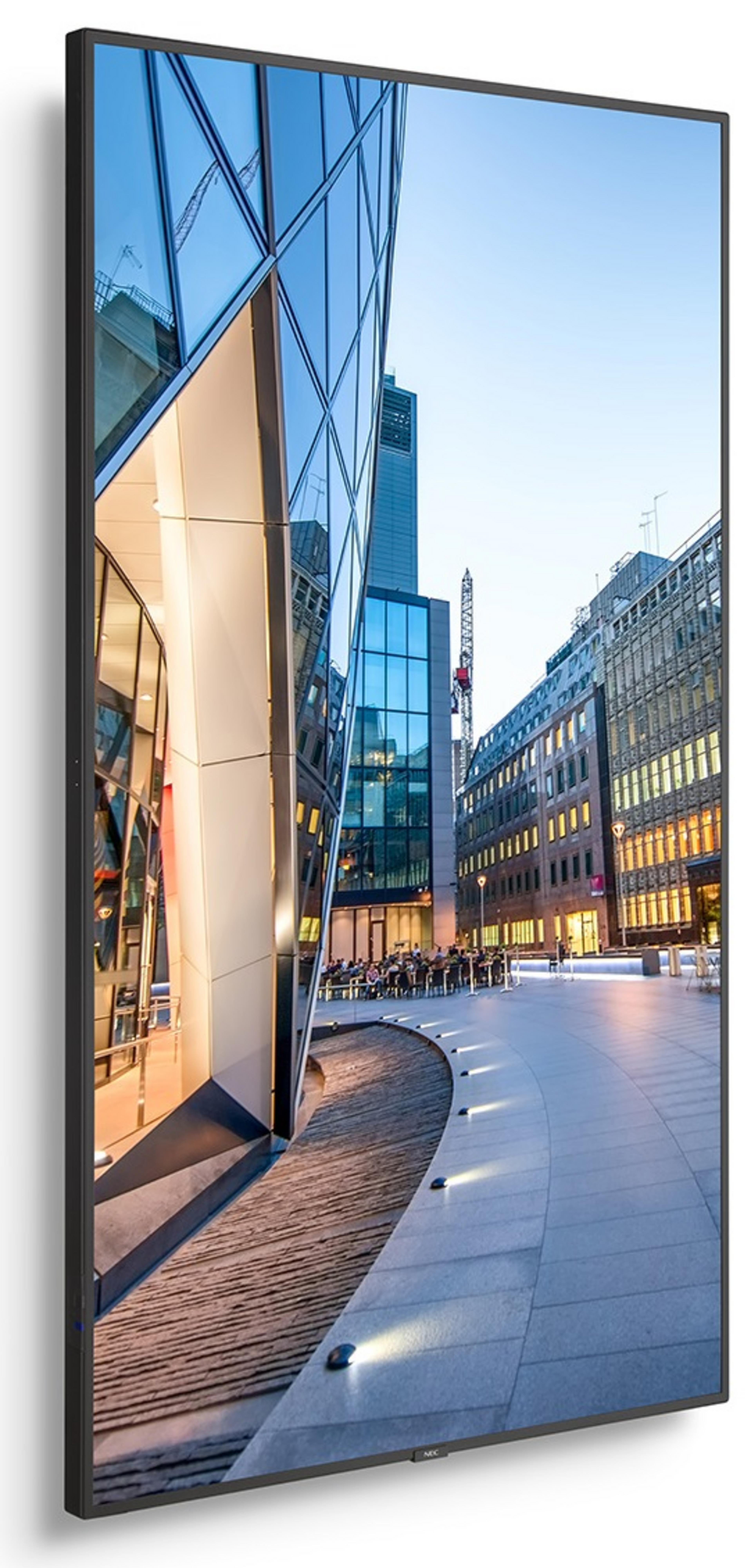 NEC MultiSync C981Q Display