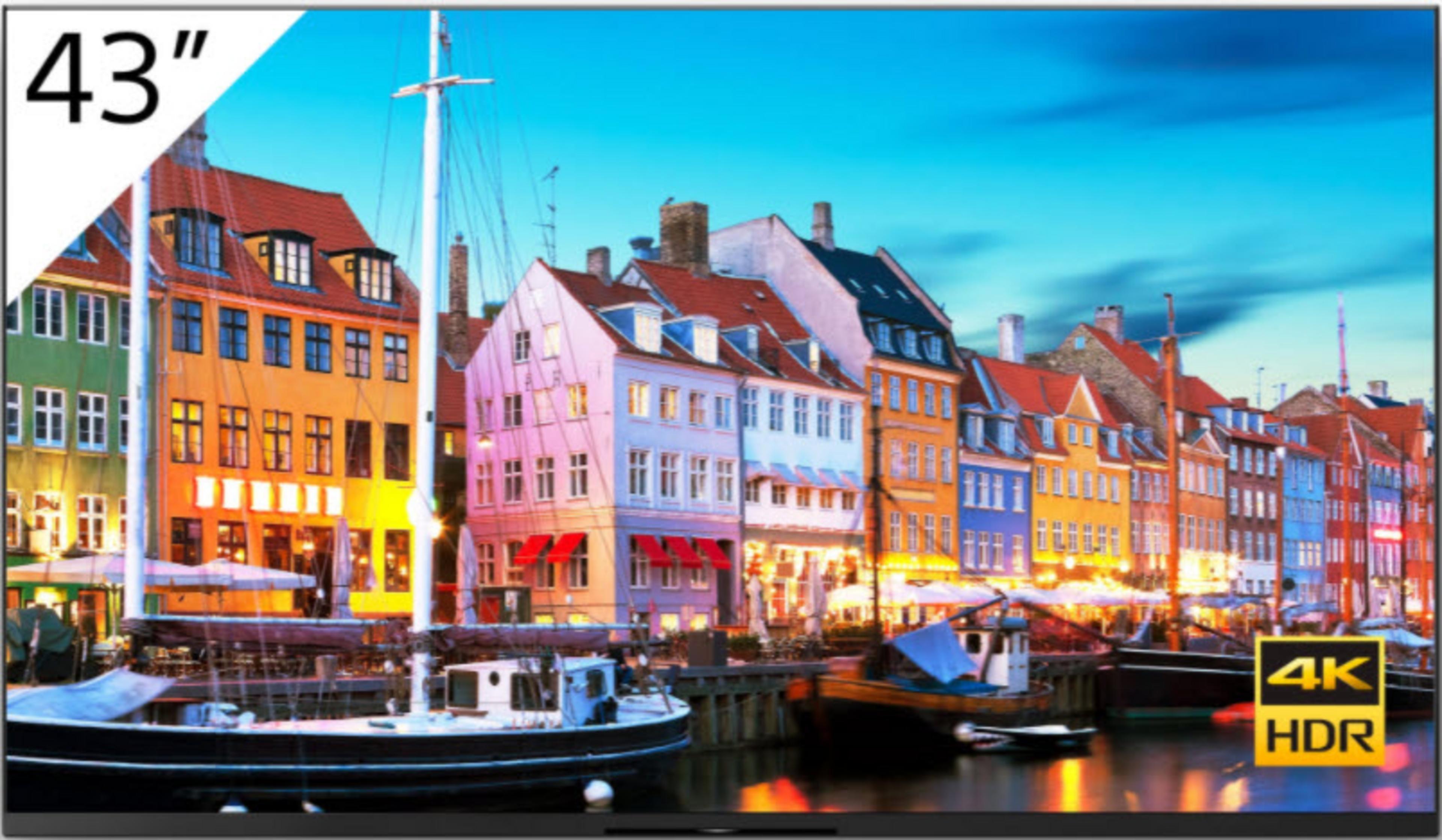 Sony Bravia FW-43BZ35J Display