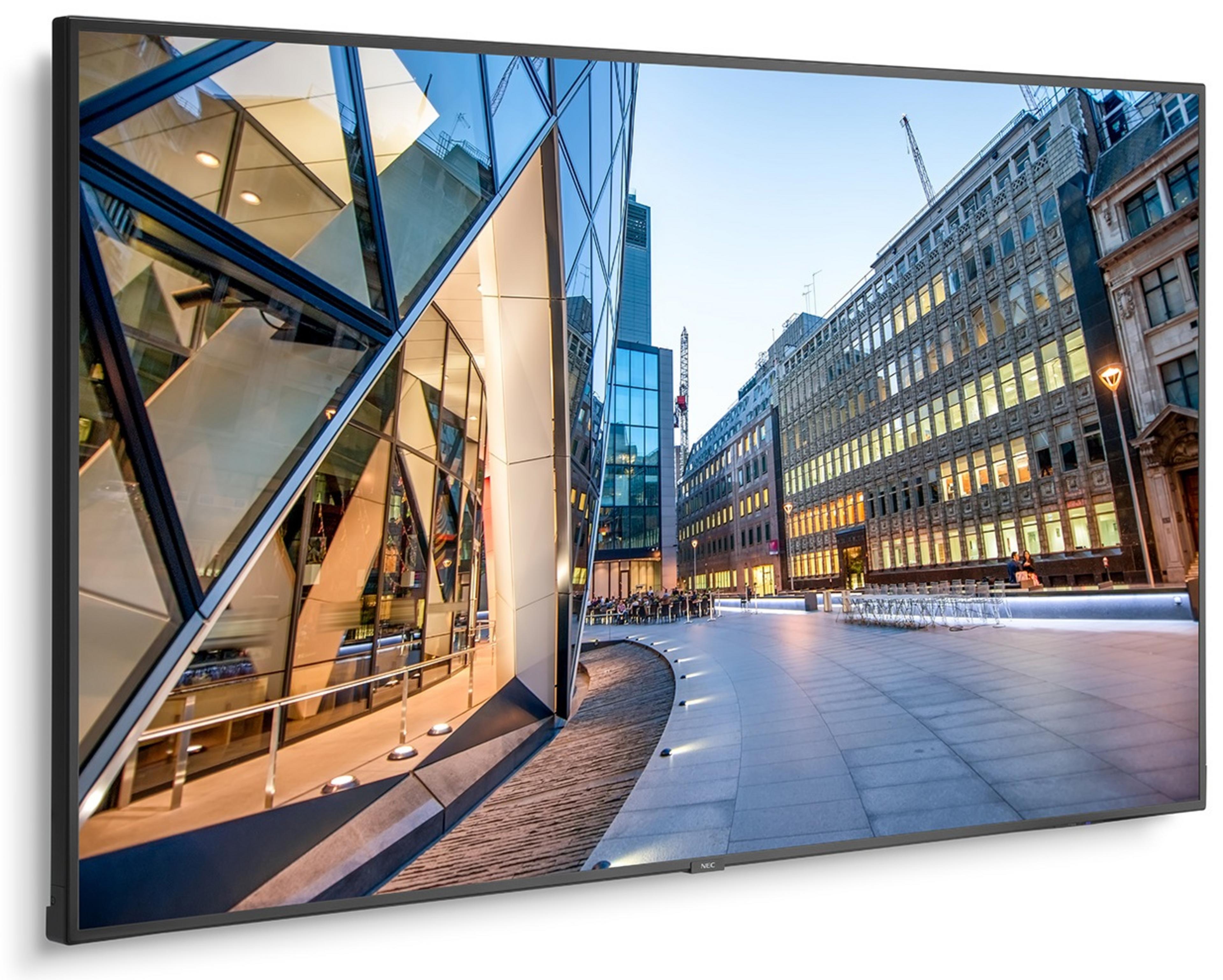 NEC MultiSync C981Q Display