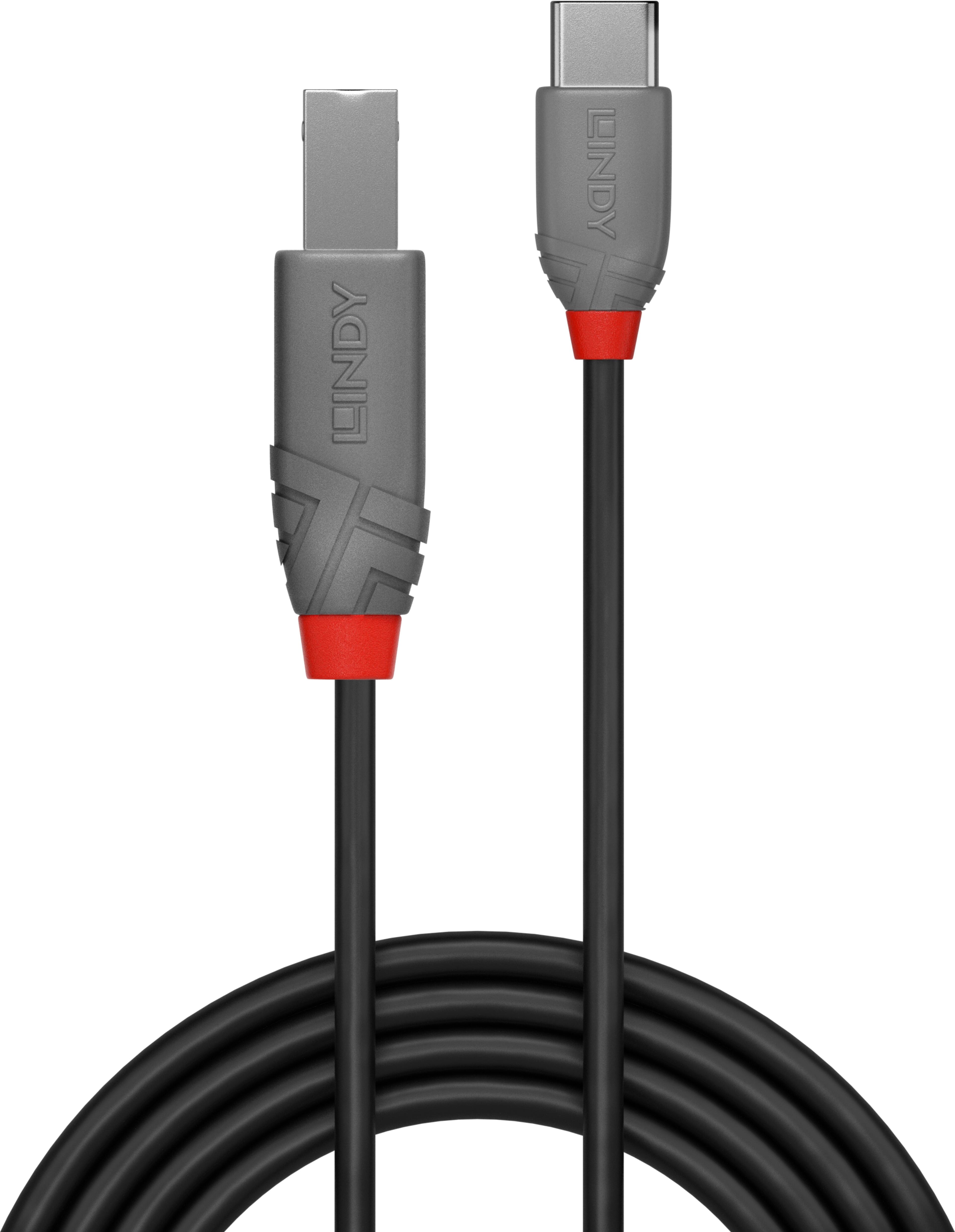LINDY USB-C to USB-B Cable 1m