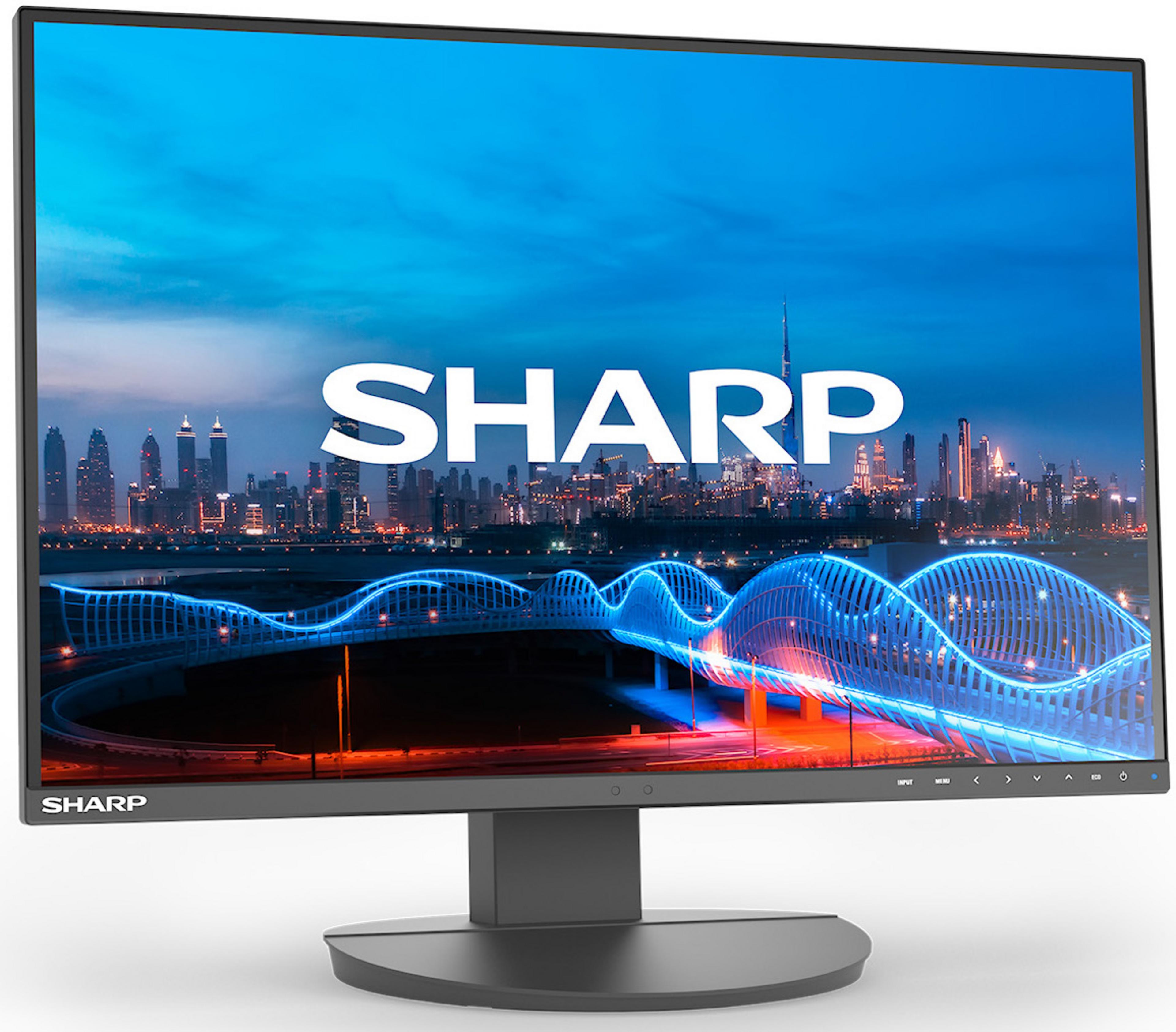 Sharp MultiSync EA242W Monitor
