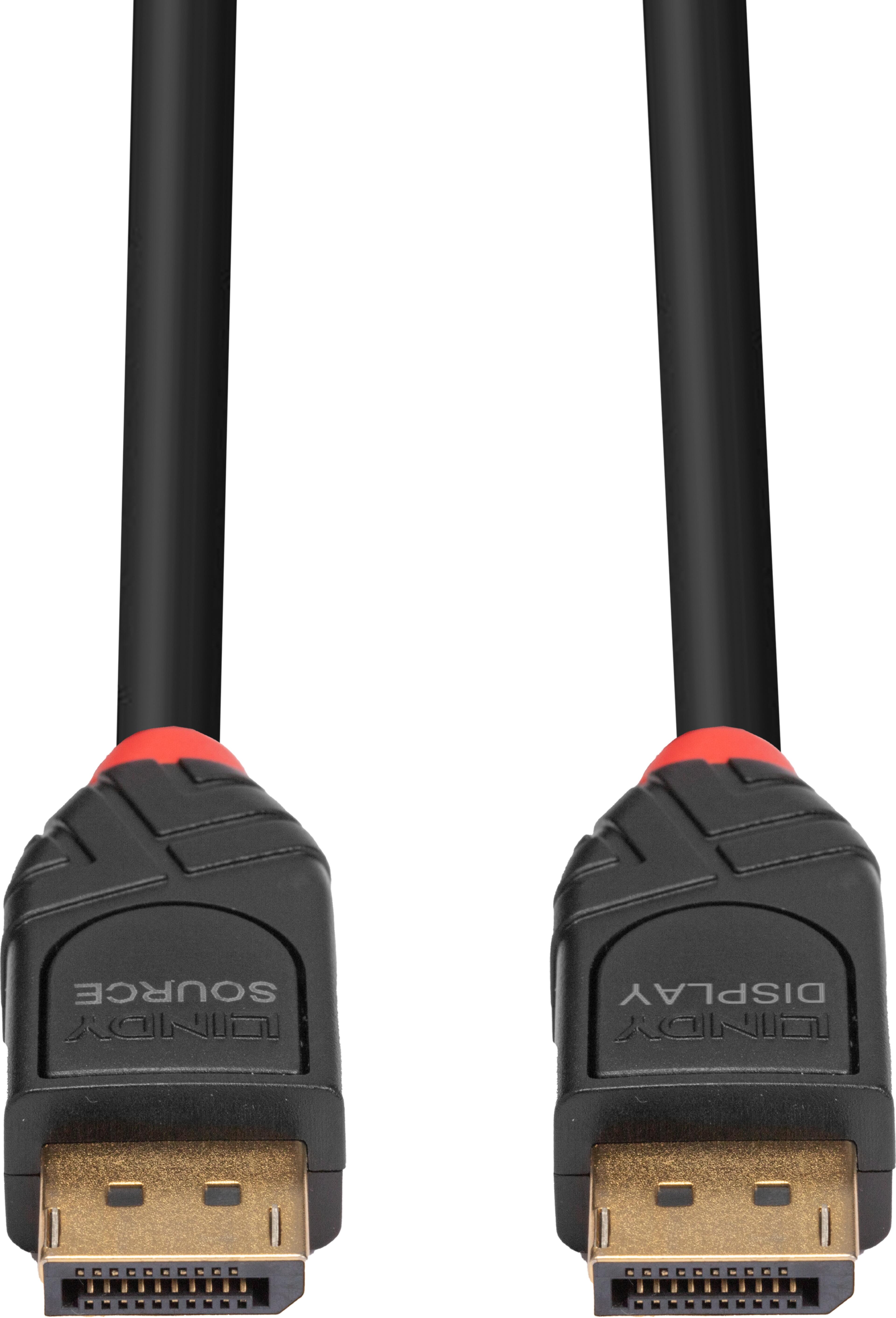 Câble LINDY DisplayPort actif, 10 m