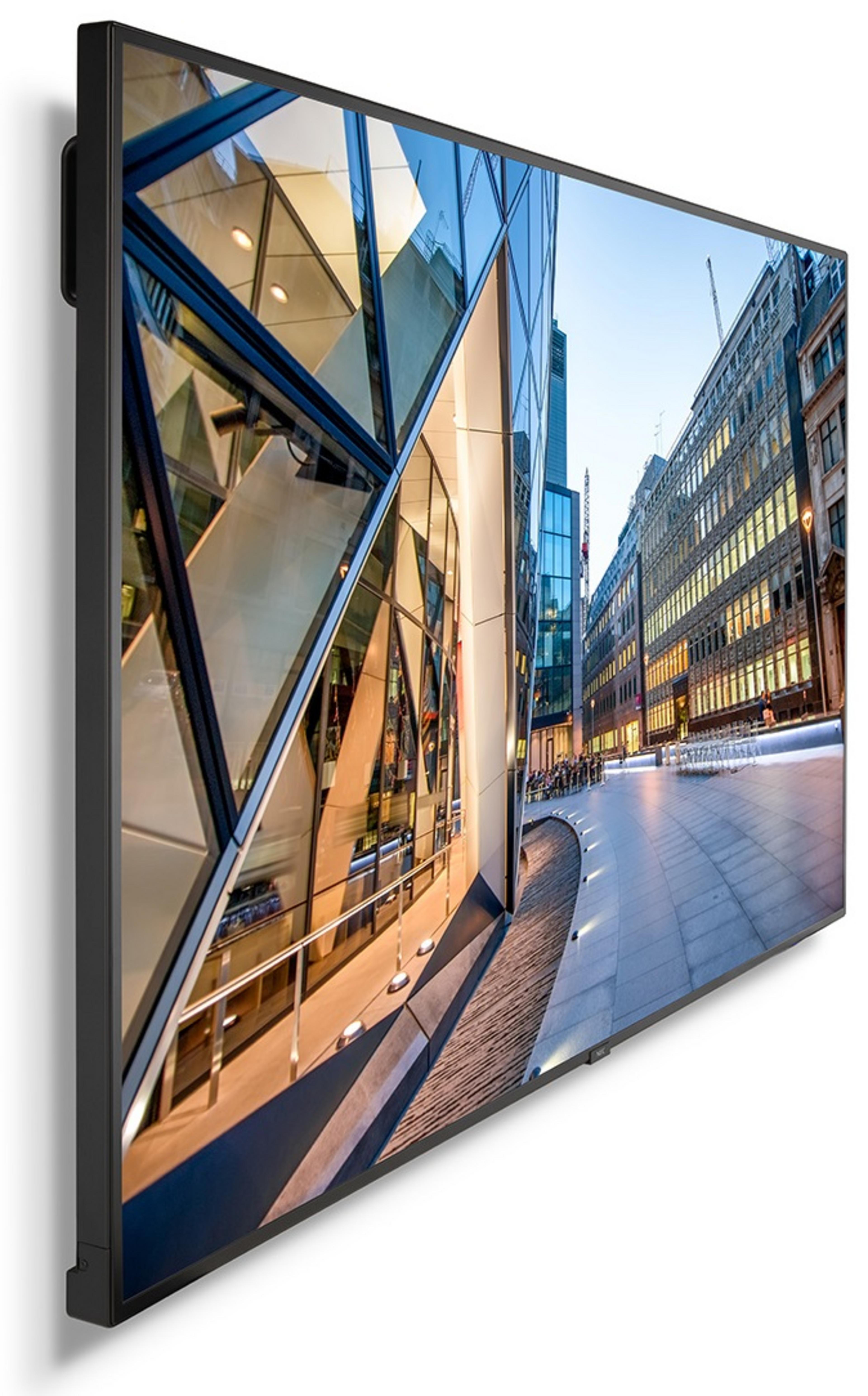 NEC MultiSync C981Q Display