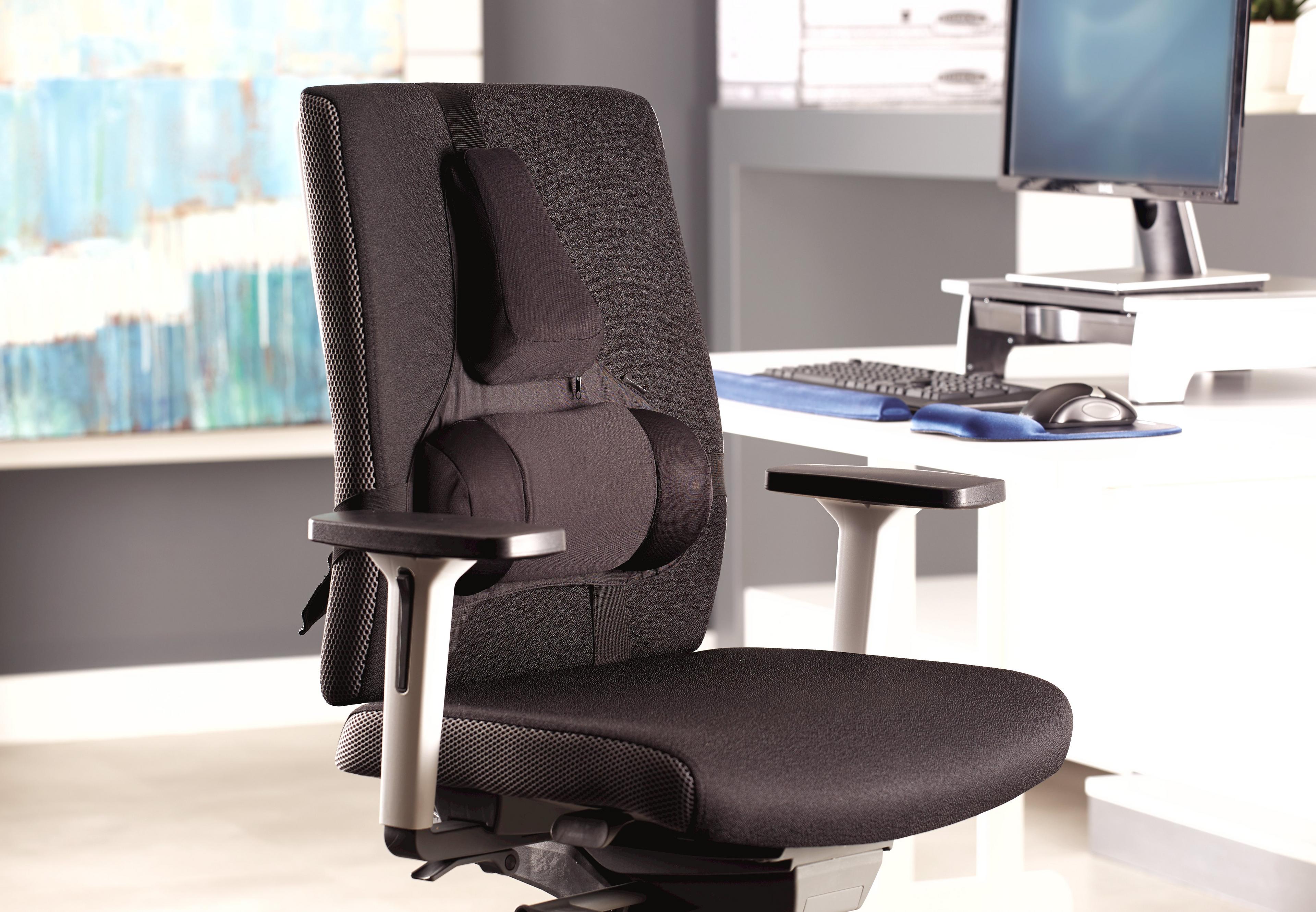 Fellowes Professional Back Support
