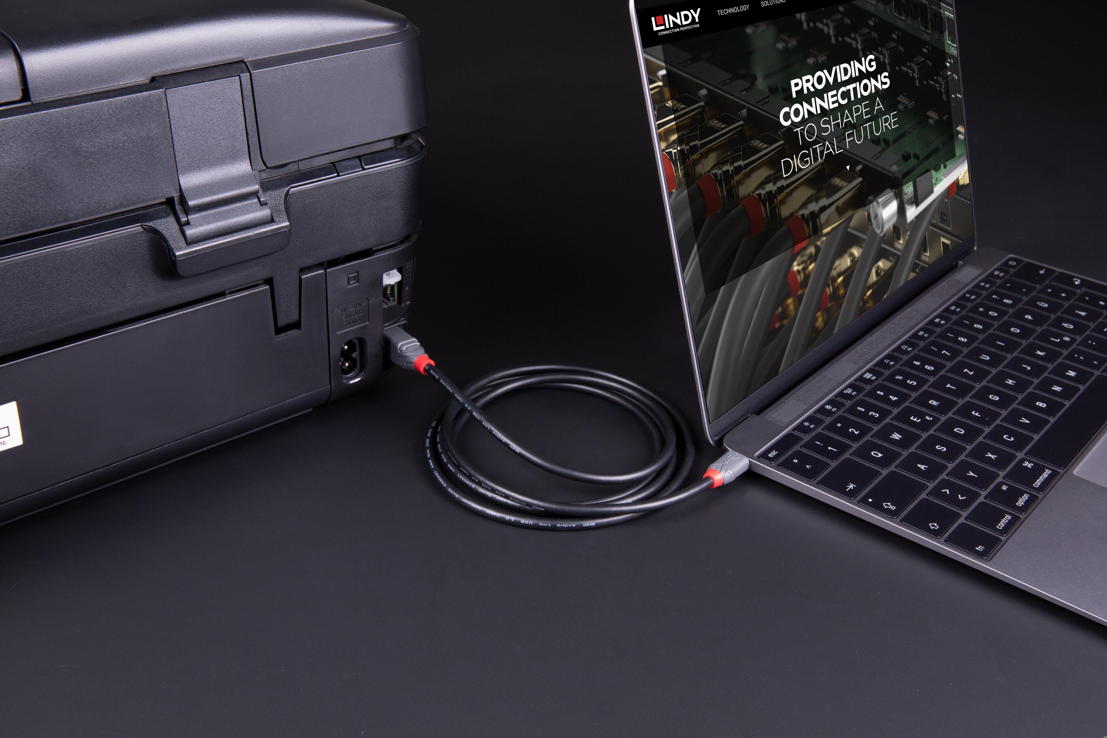 LINDY USB-C to USB-B Cable 3m