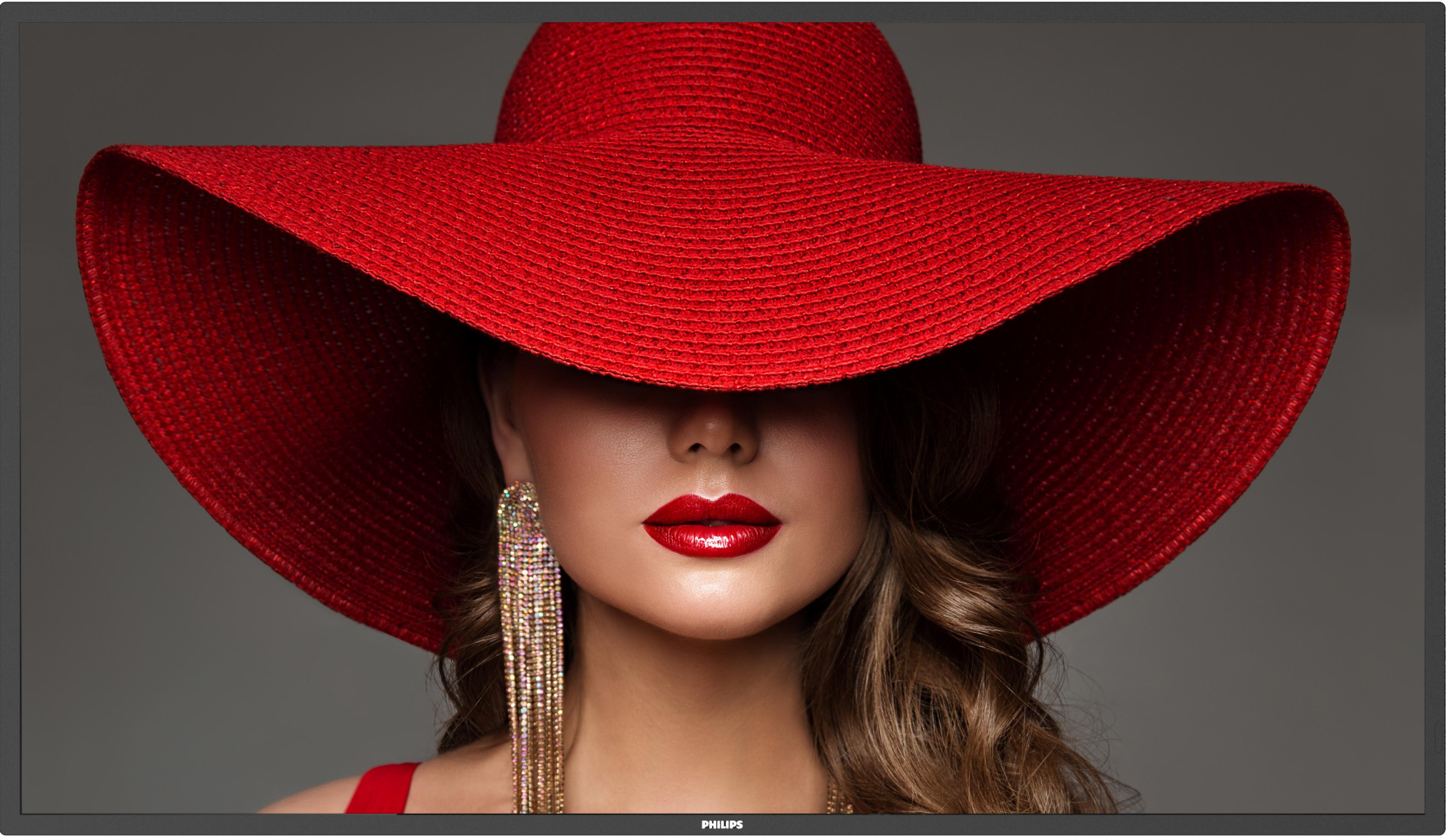 Philips 55BDL4650D Display