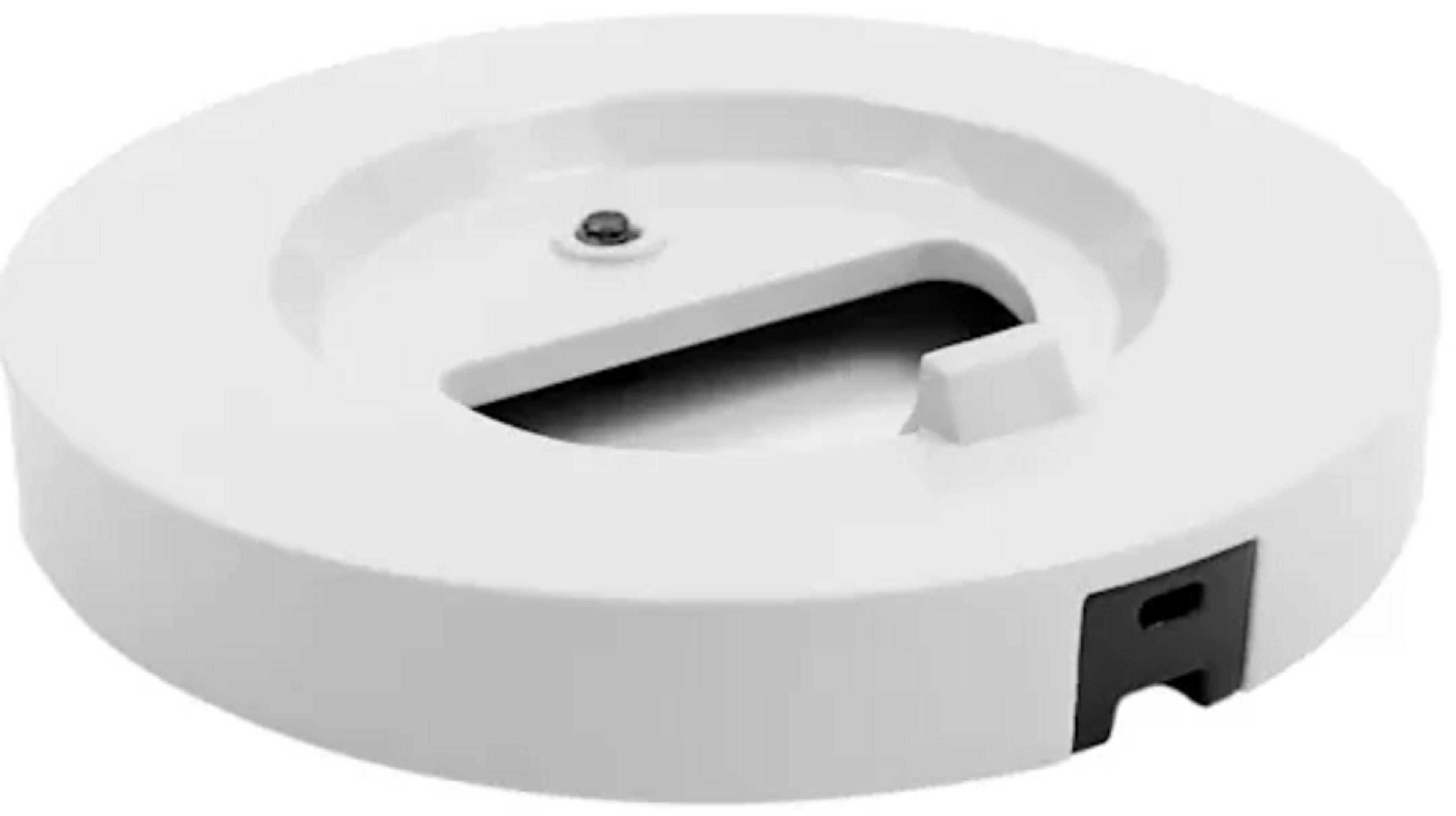 Support Owl Meeting Owl 3