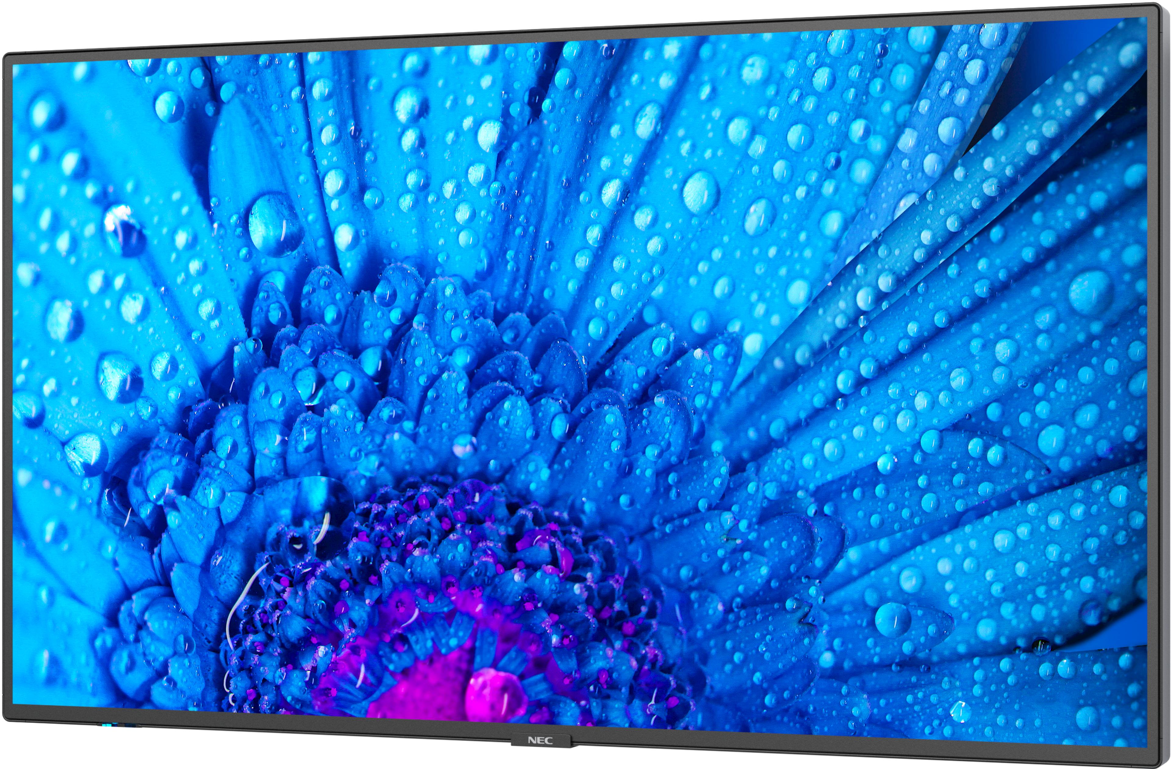 NEC MultiSync M751 Display
