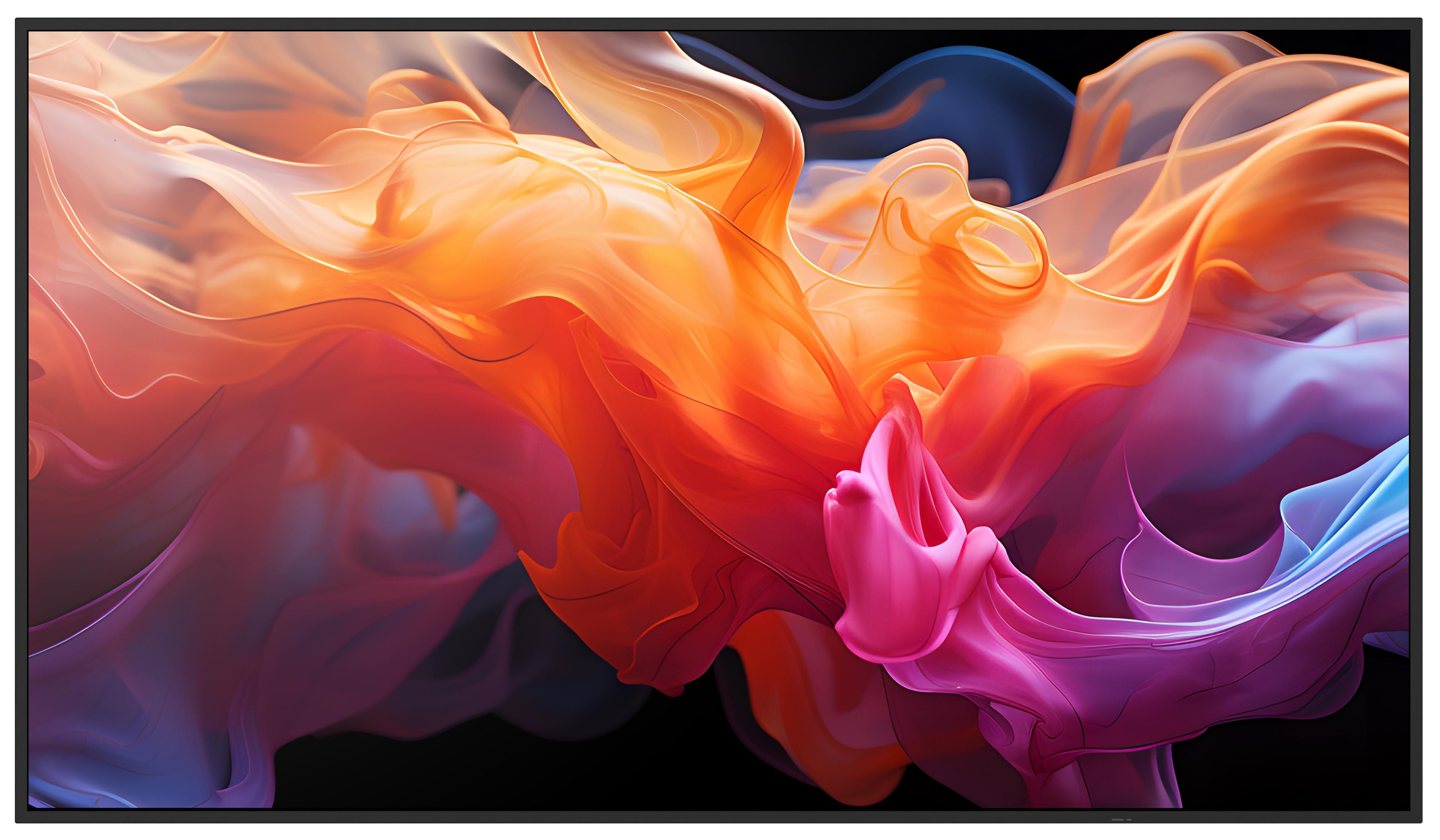 Sharp MultiSync E509 Display