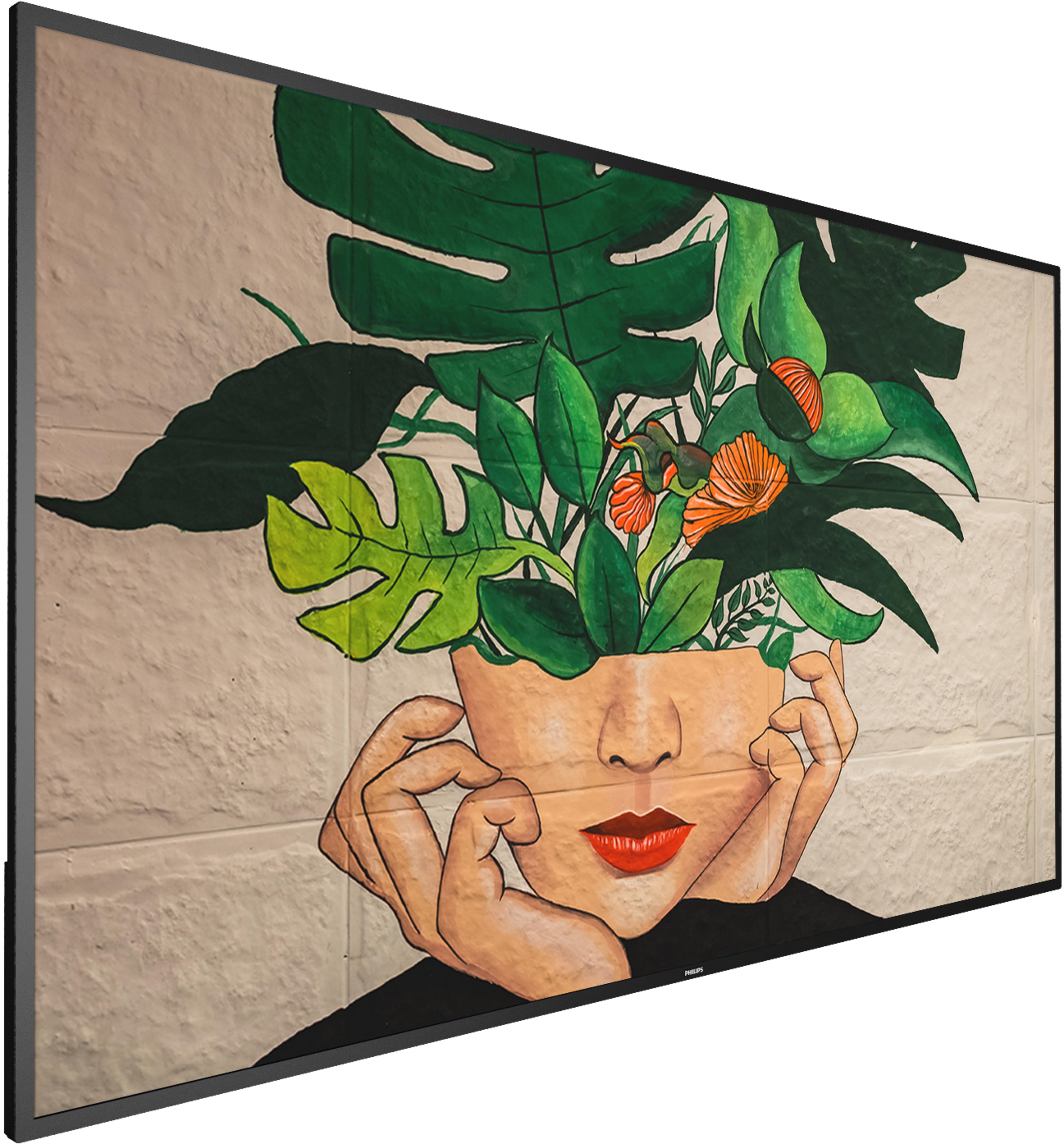 Philips 43BDL4511D Display