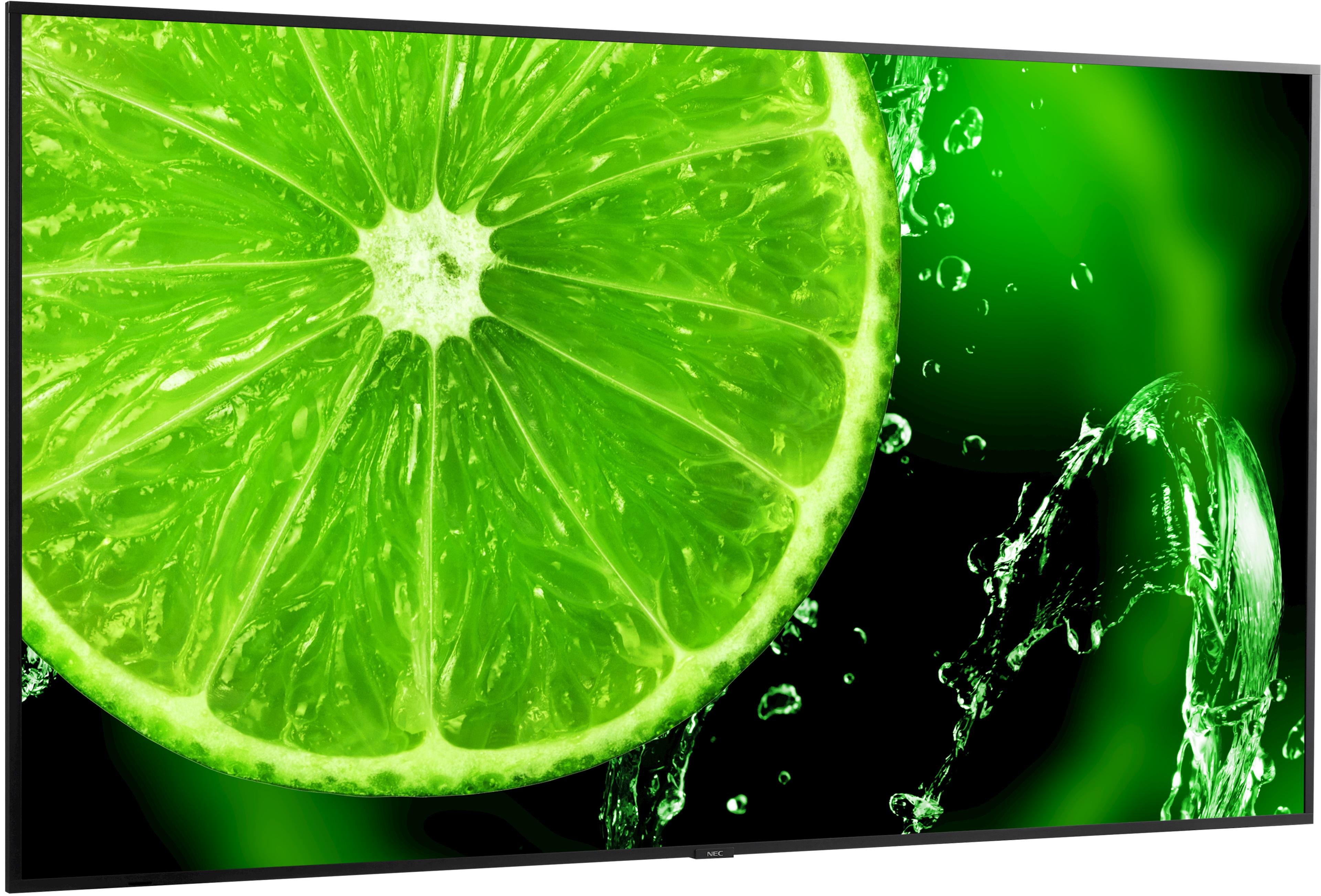 Écran NEC MultiSync E988