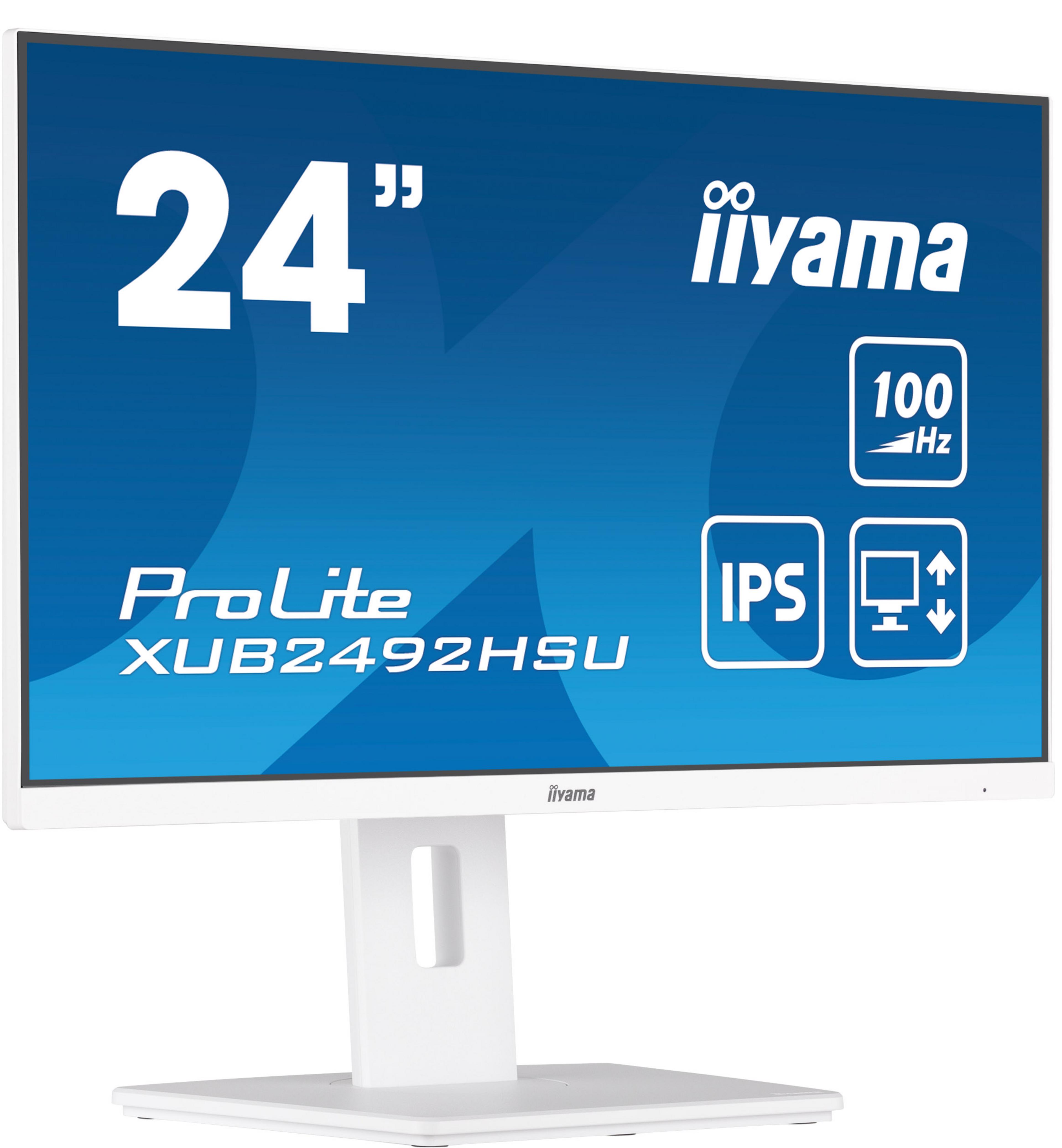 iiyama ProLite XUB2492HSU-W6 Monitor