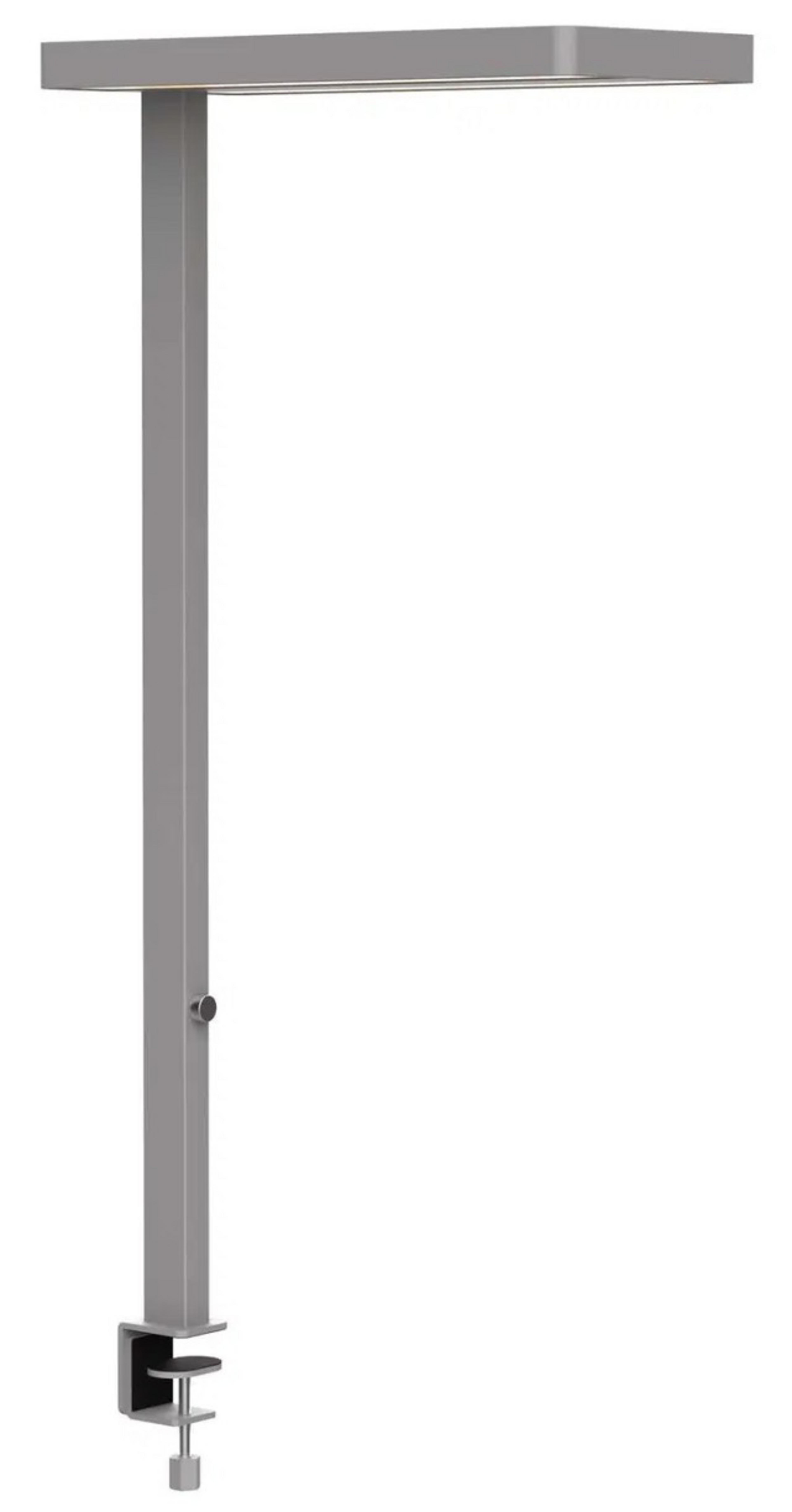 MAULjaval LED-Tischleuchte silber