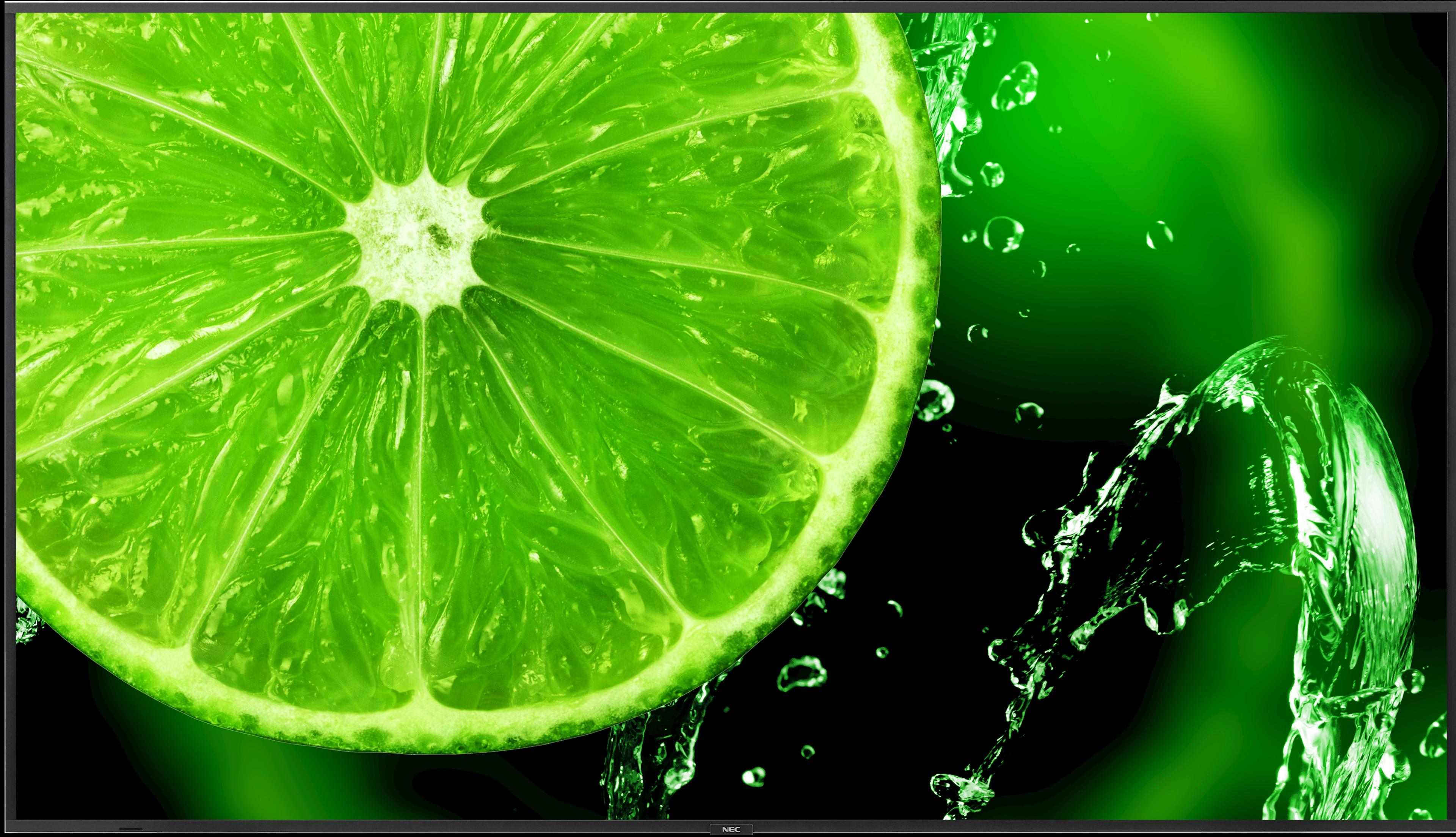 Display NEC MultiSync E988