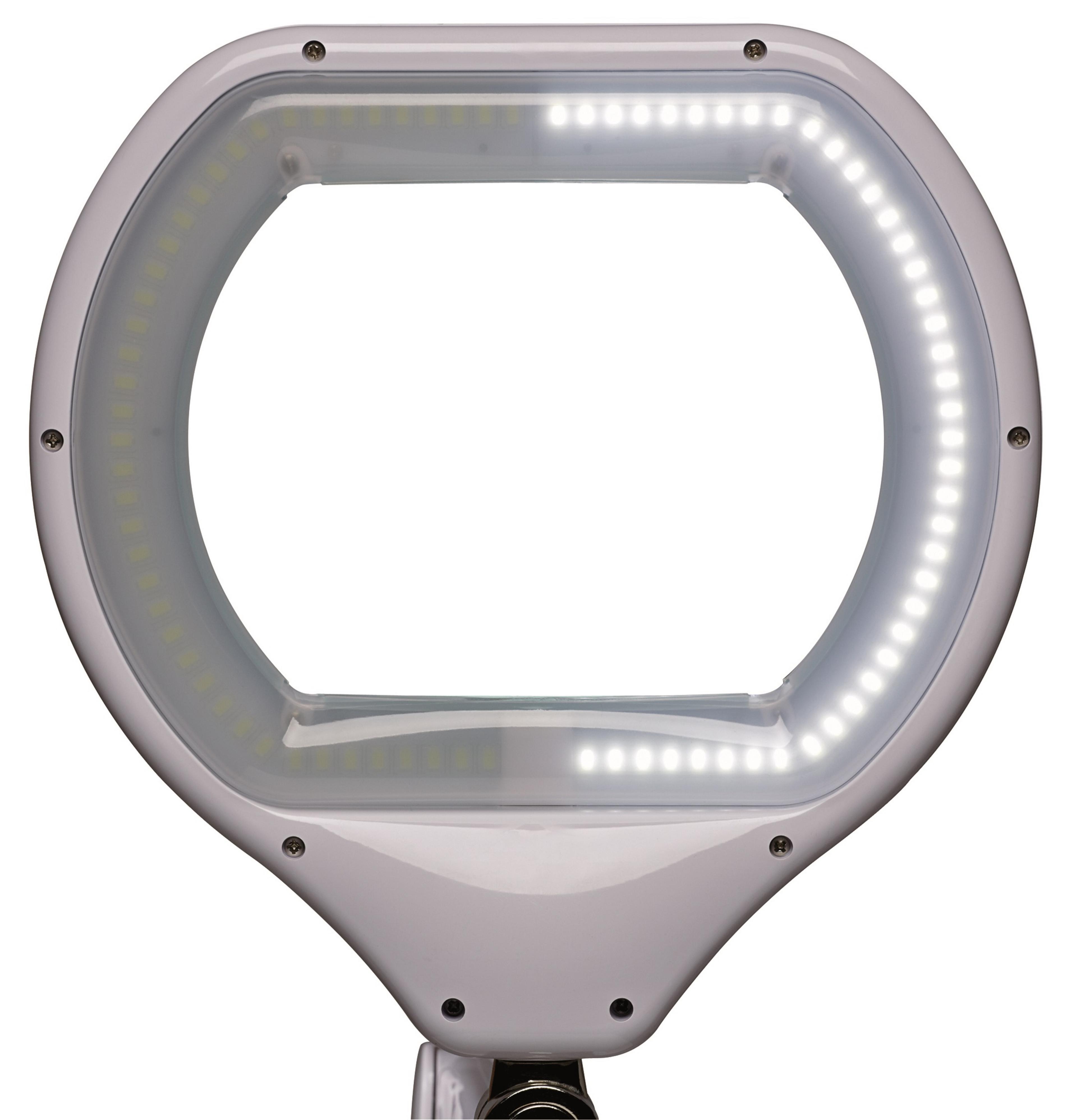 MAULcrystal Magnifying LED Lamp