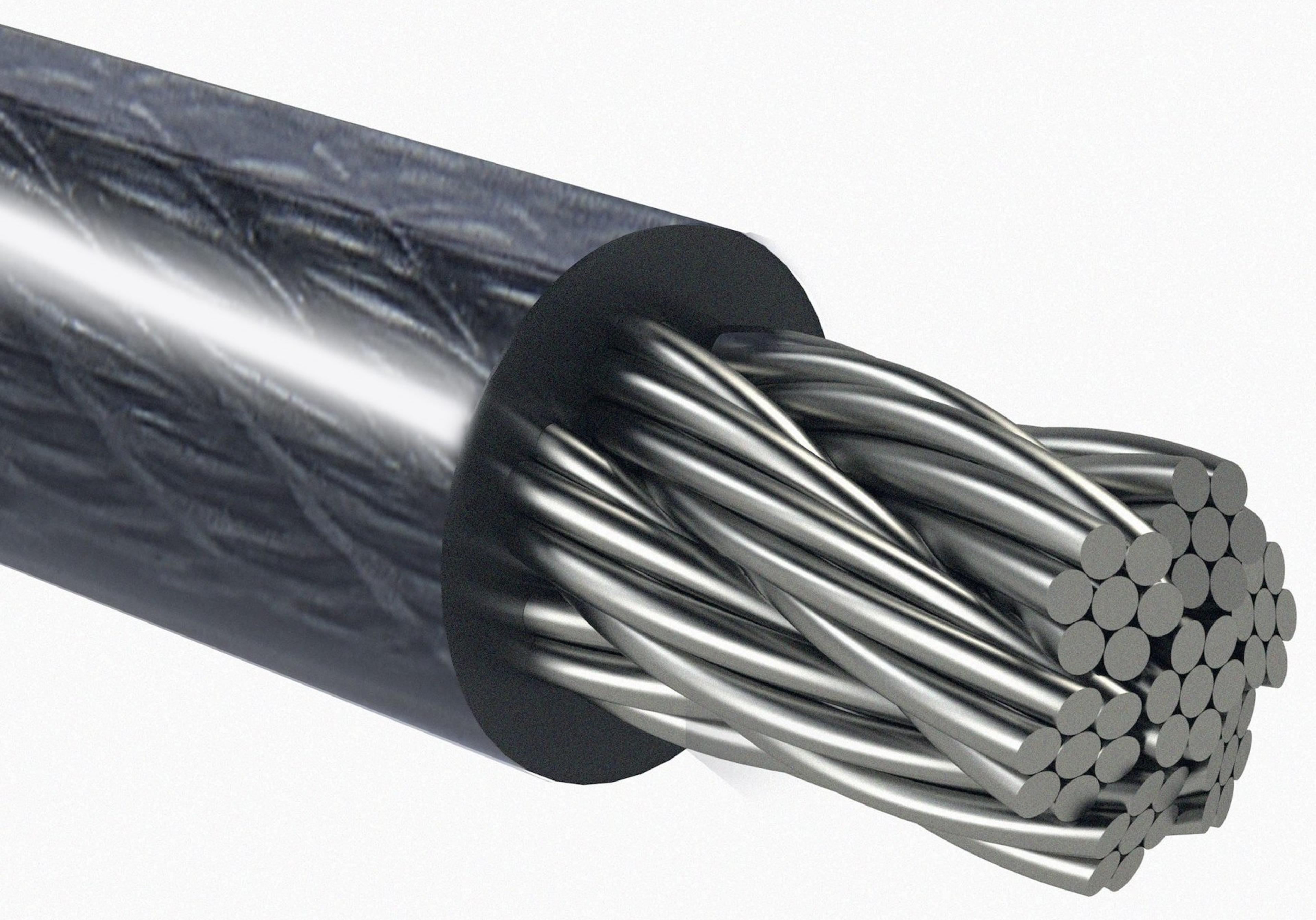 StarTech Cable Lock Wedge/Nano/K-Slot 2m