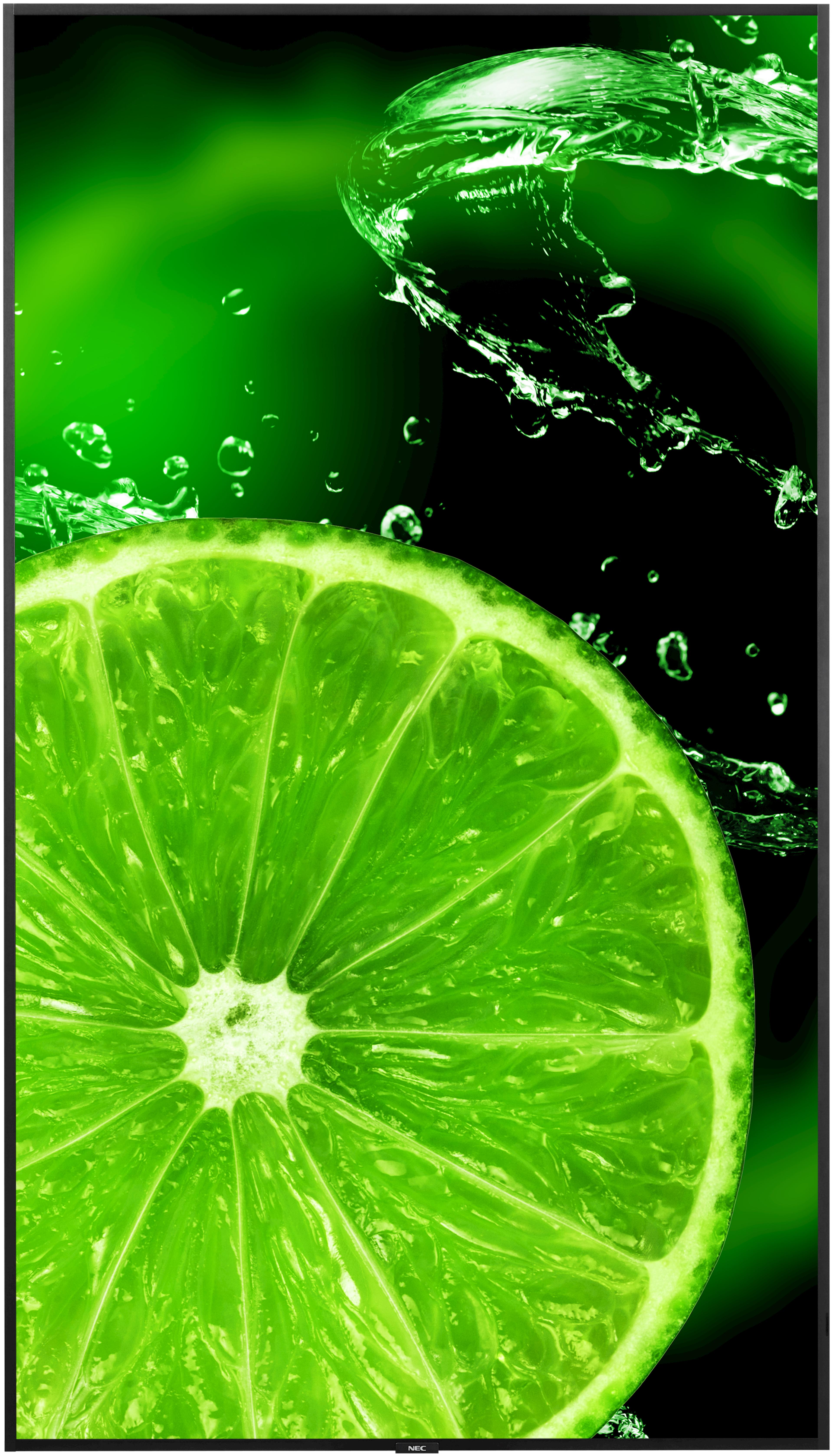 Écran NEC MultiSync E988