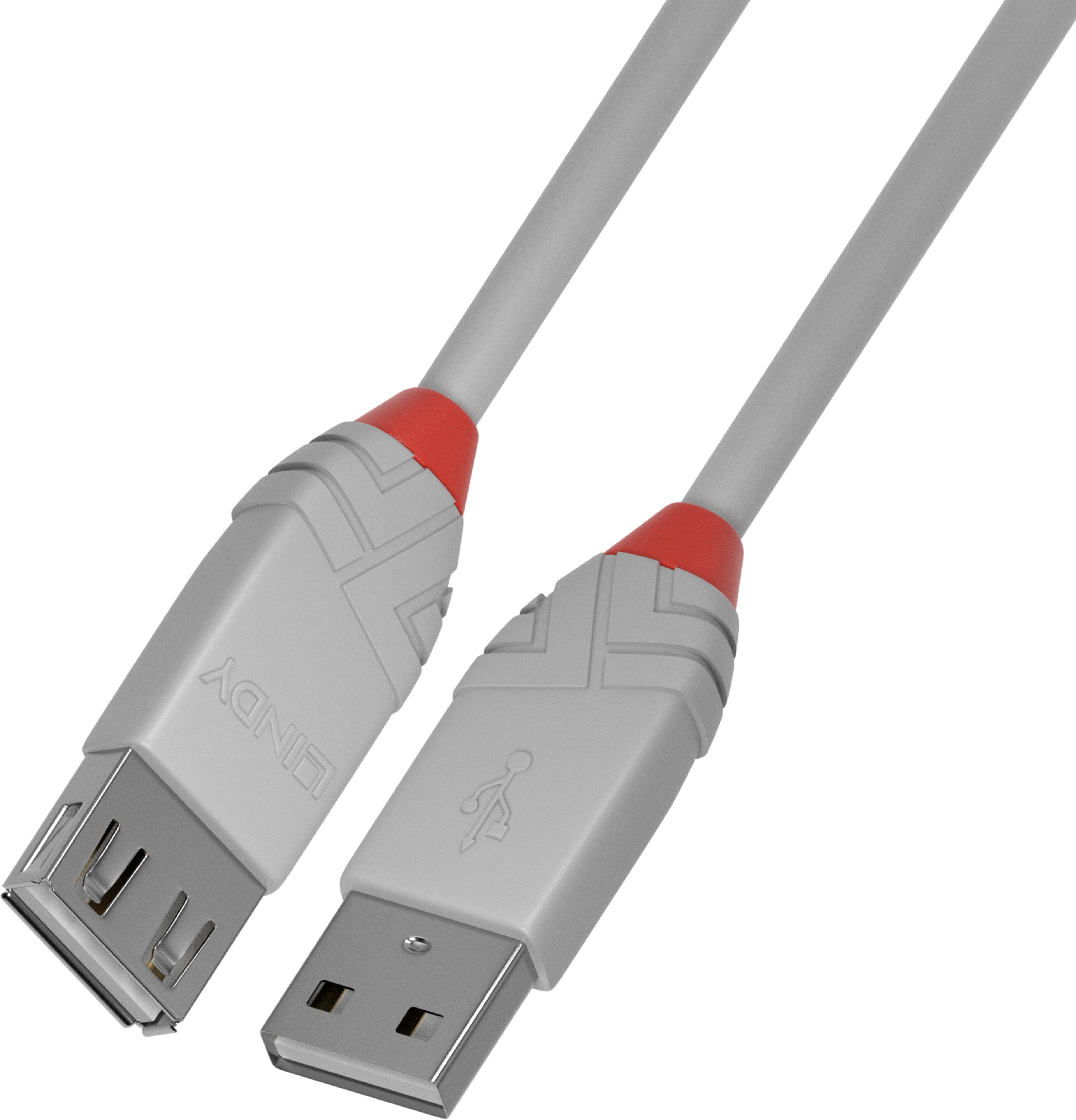 LINDY USB Typ A Verlängerung 2 m