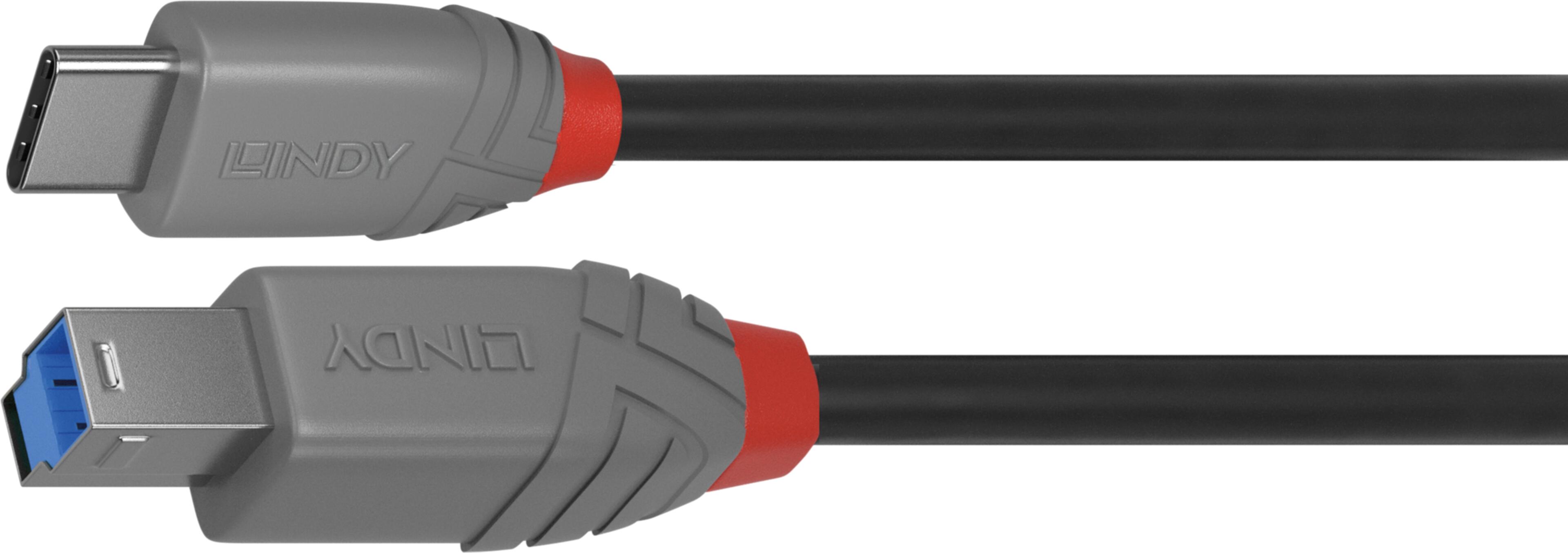 LINDY USB-C to USB-B Cable 3m
