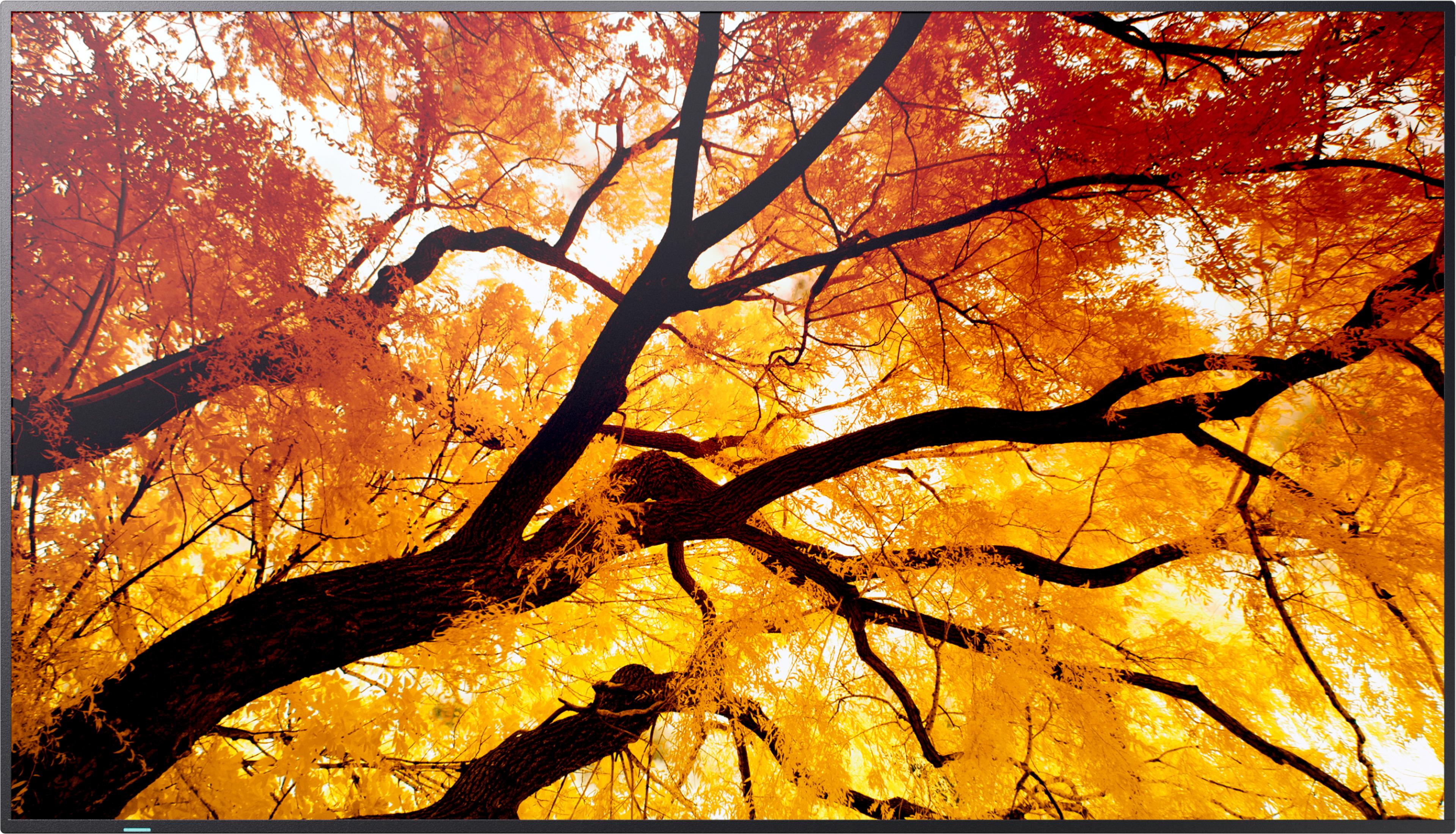 Sharp MultiSync M502 Display