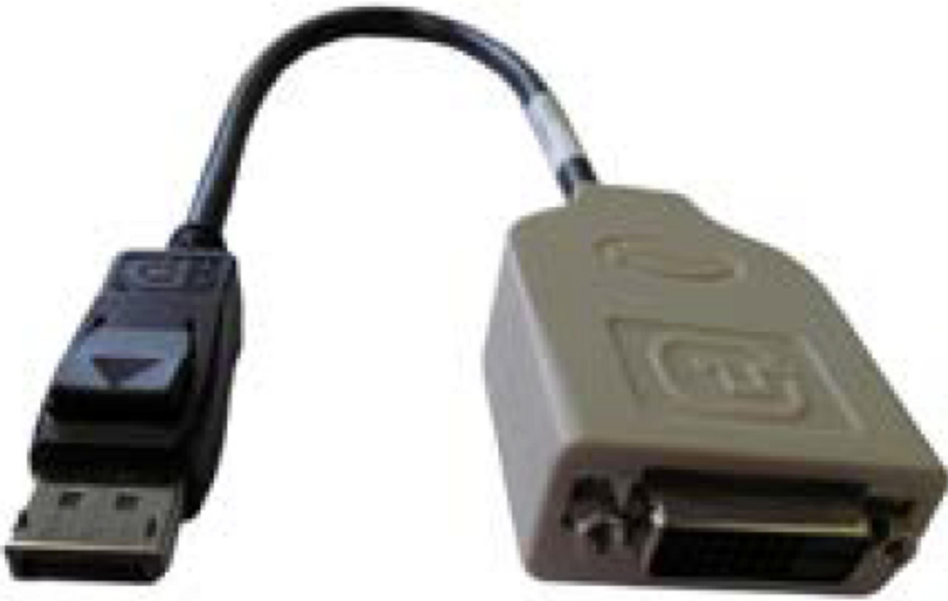 Fujitsu DisplayPort - DVI Adapter