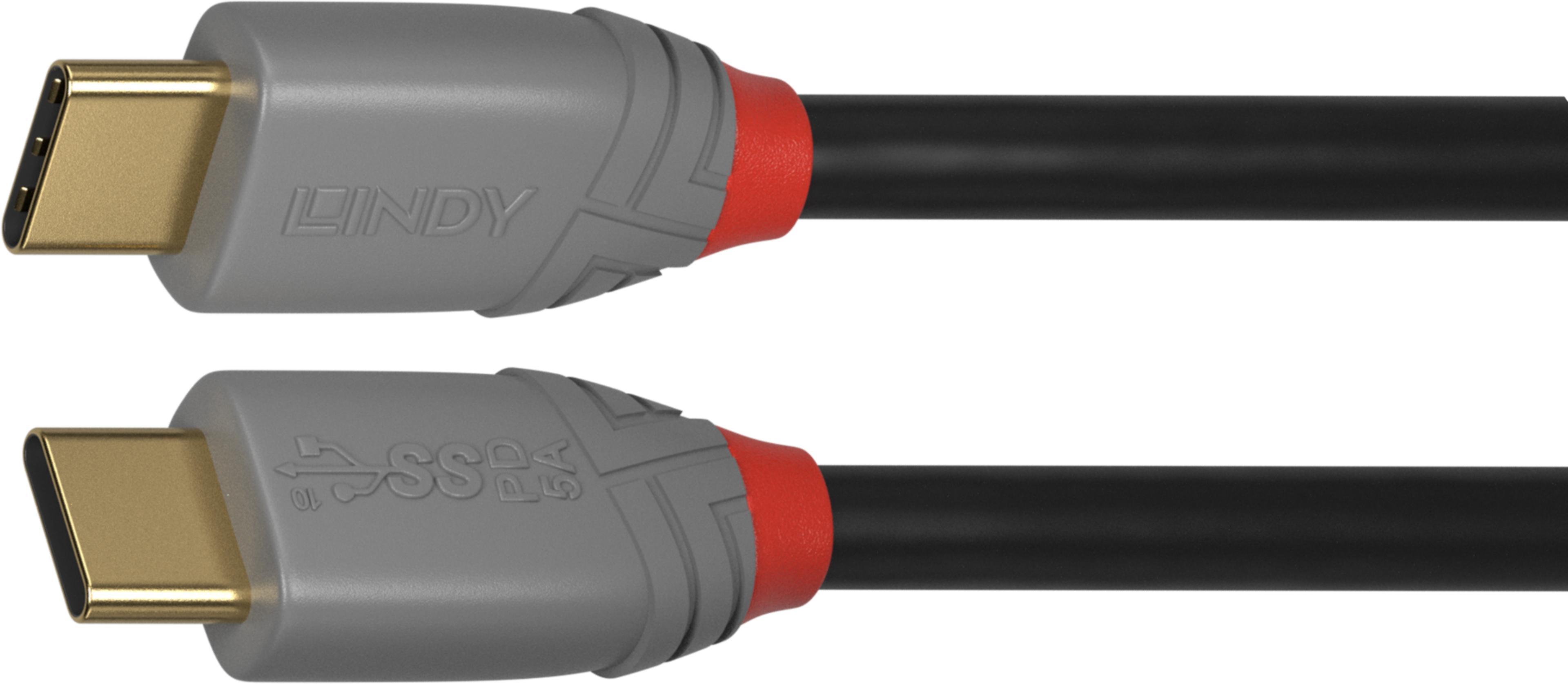 LINDY USB Typ C Kabel 0,5 m