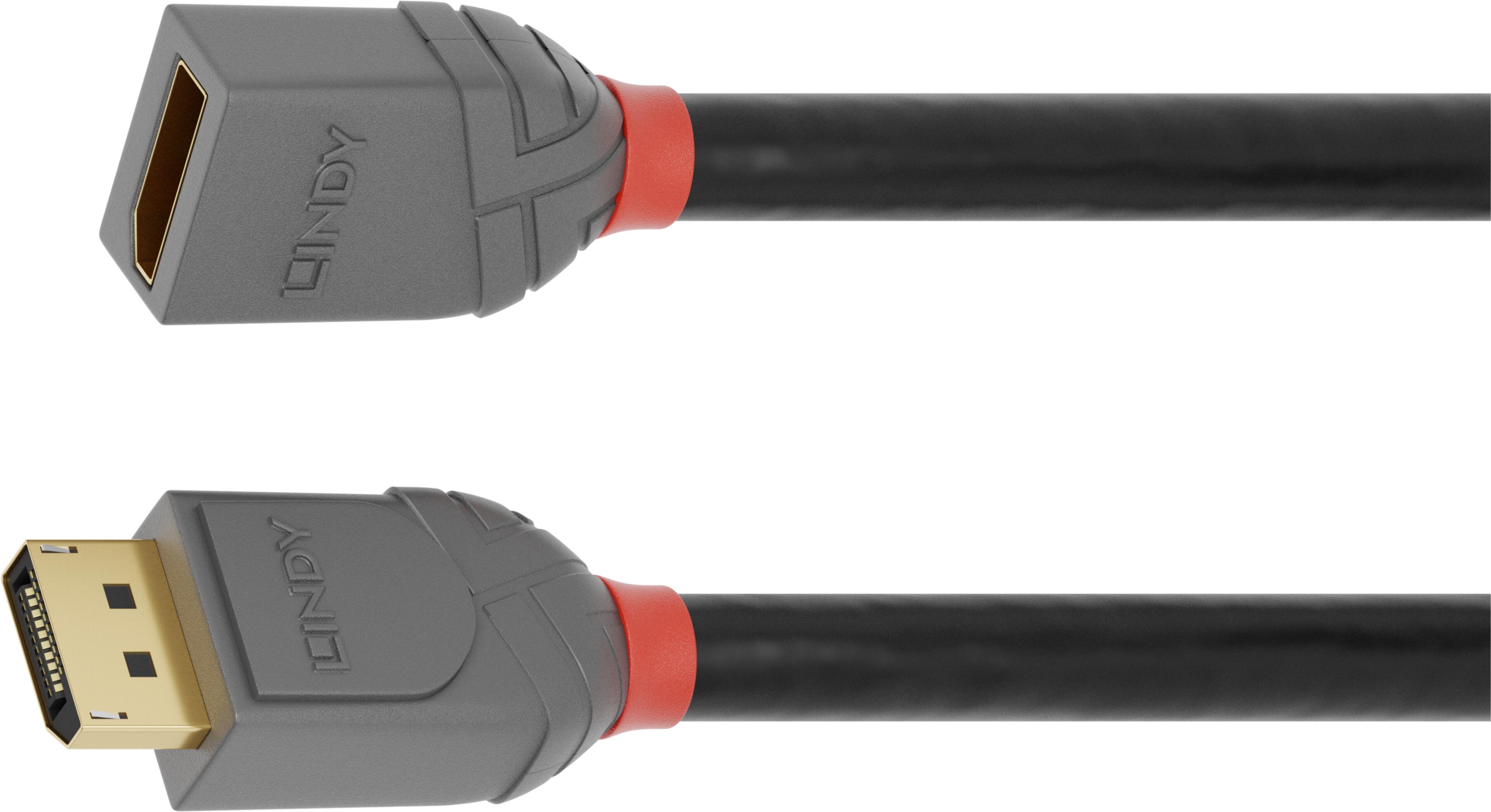 LINDY DisplayPort Extension Cable 3m
