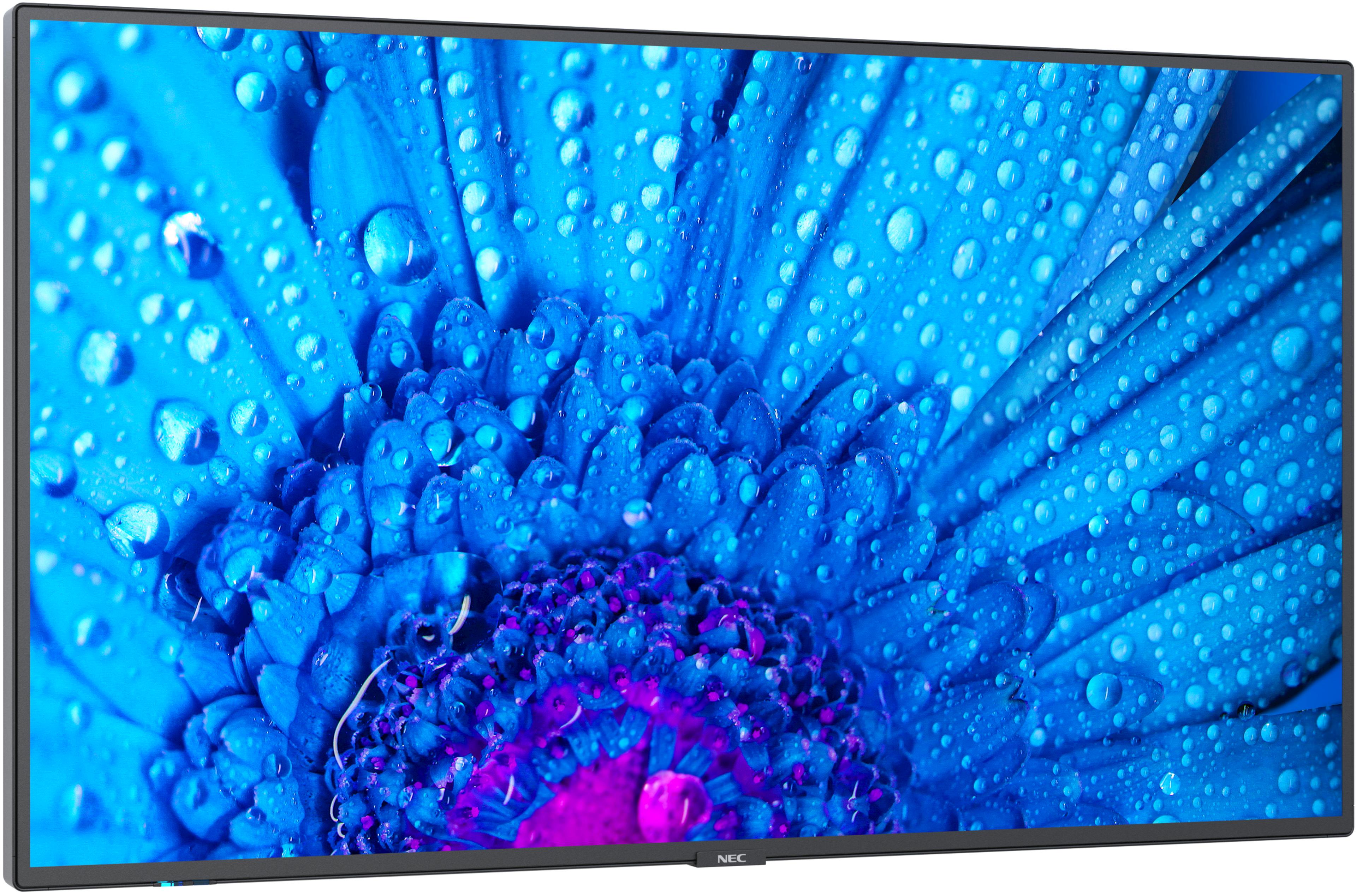 NEC MultiSync M751 Display