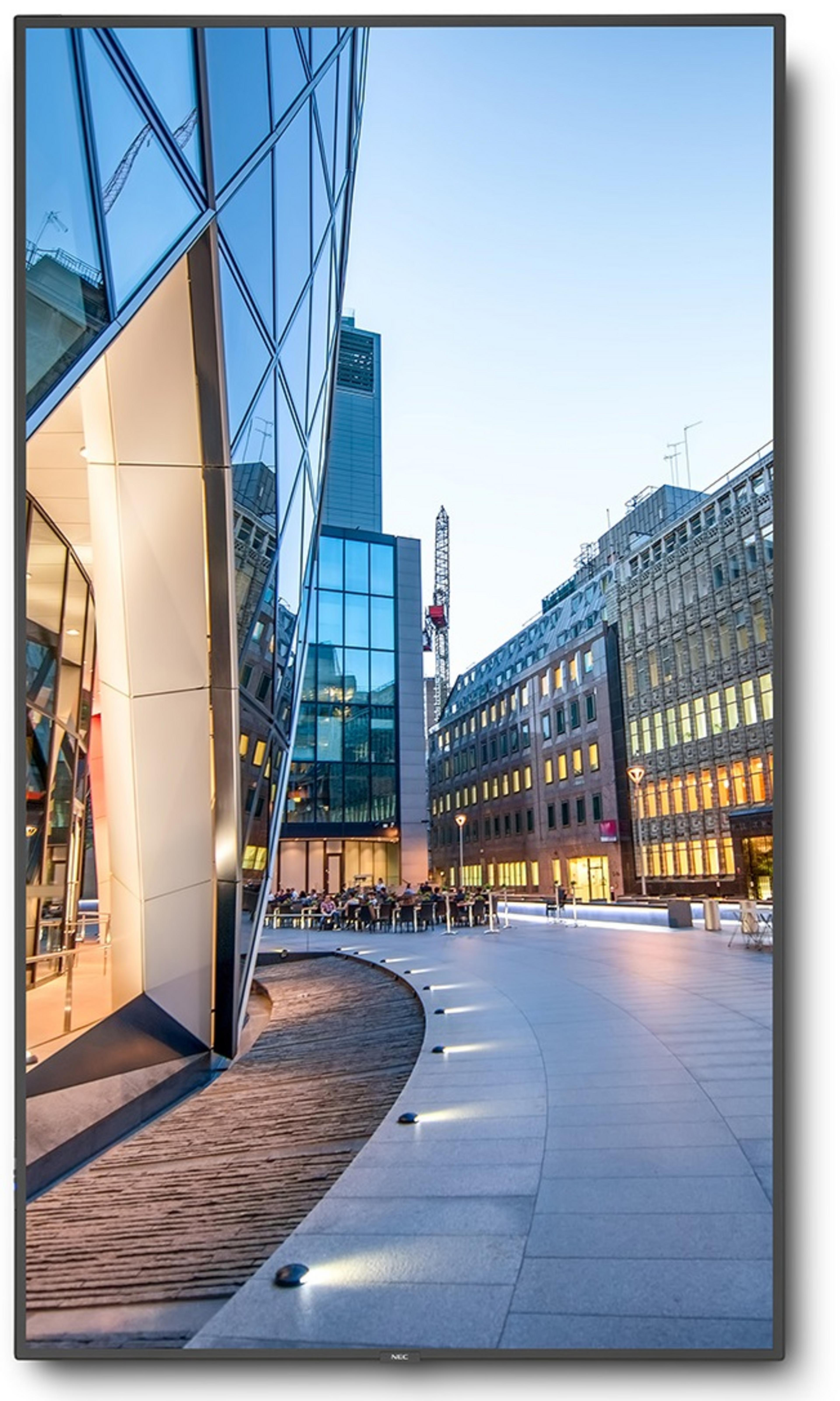 NEC MultiSync C751Q Monitor