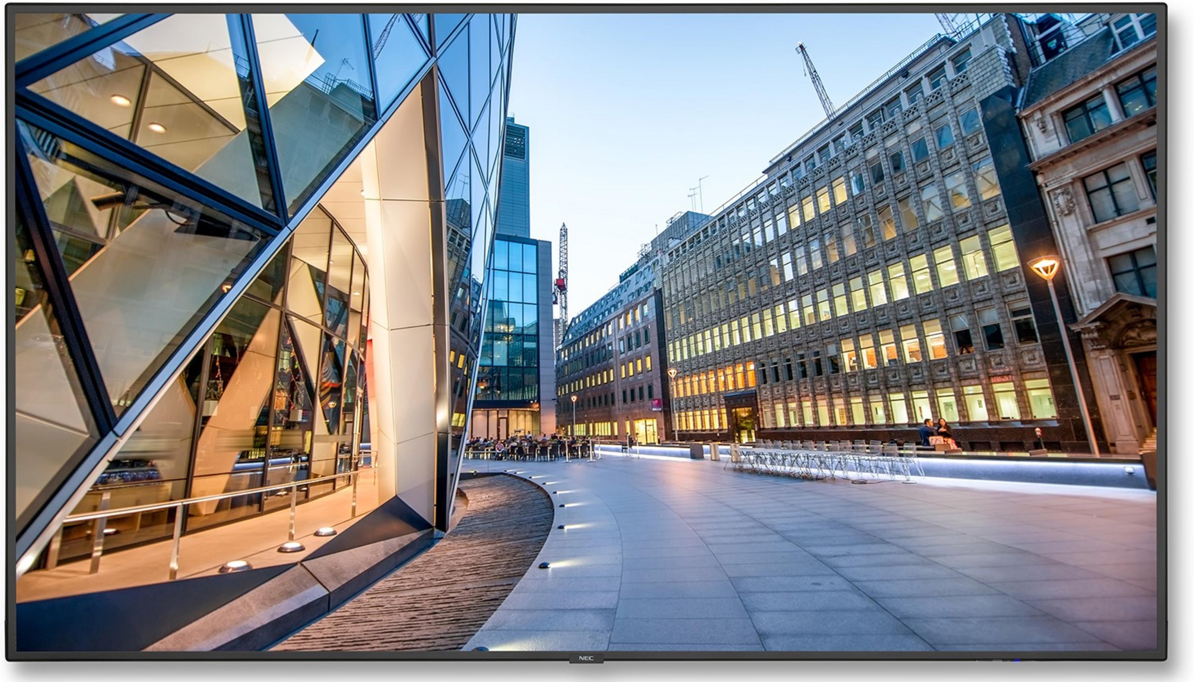 Display NEC MultiSync C750Q