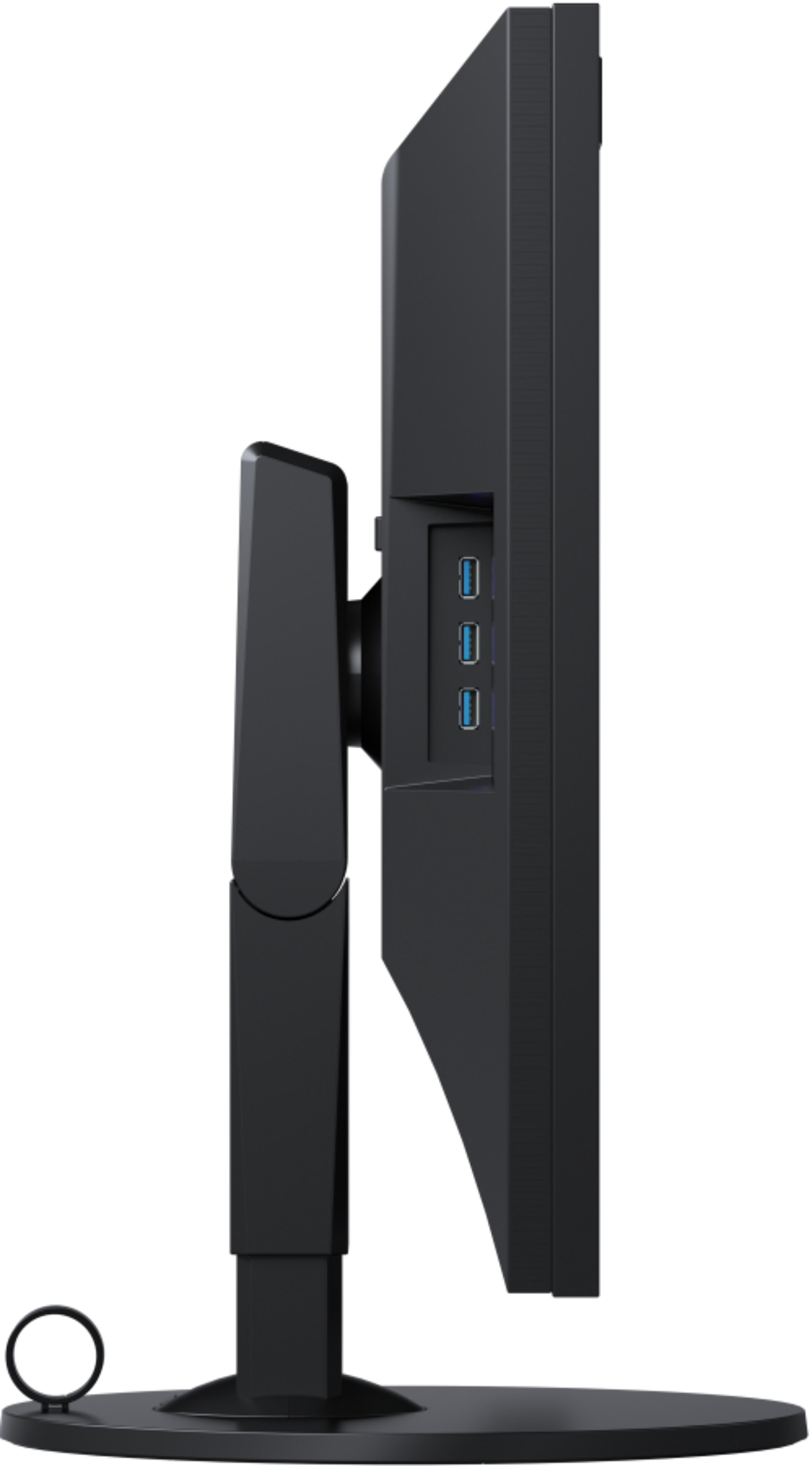 EIZO ColorEdge CG319X Monitor