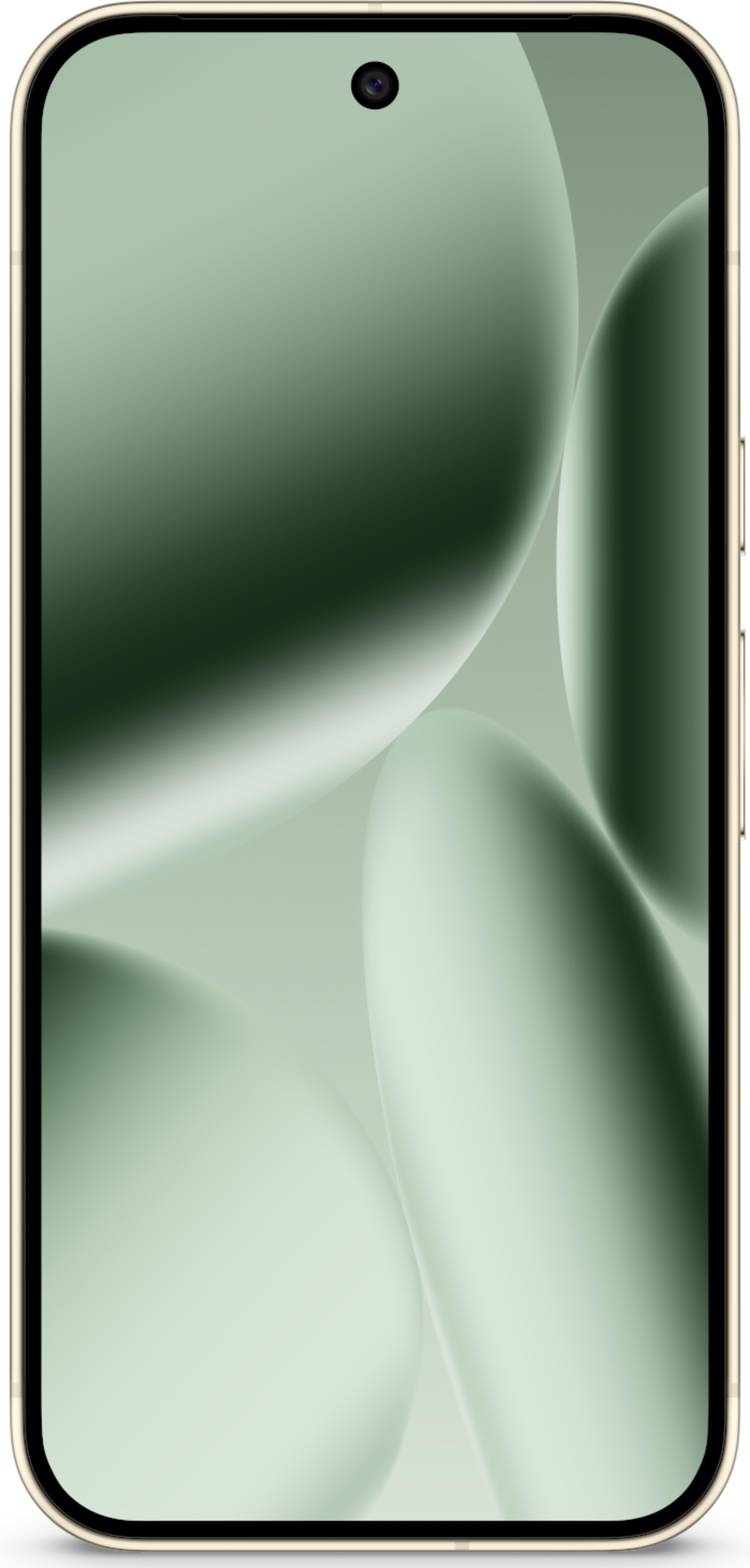 Google Pixel 10 Pro 256 GB jade