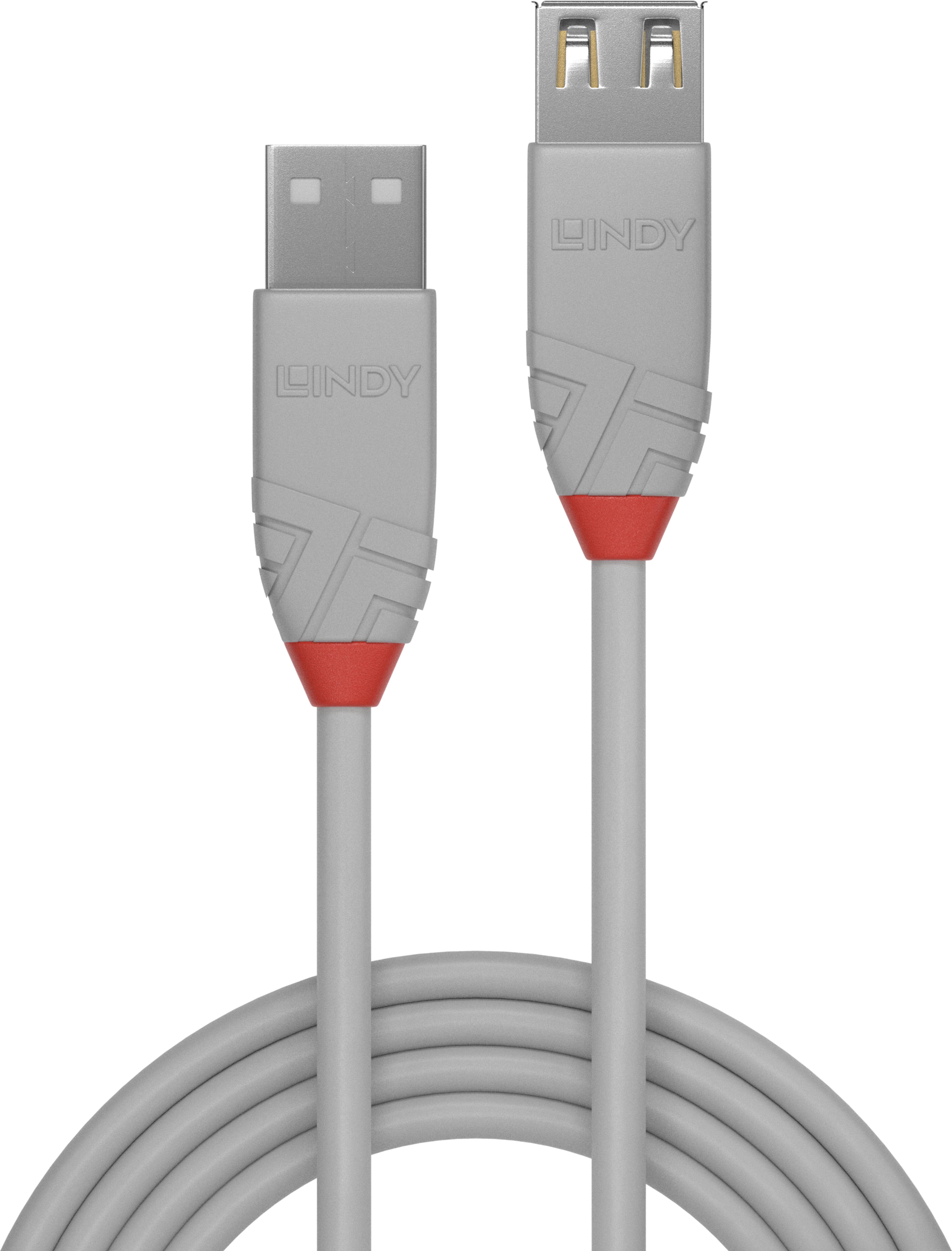 LINDY USB Typ A Verlängerung 2 m