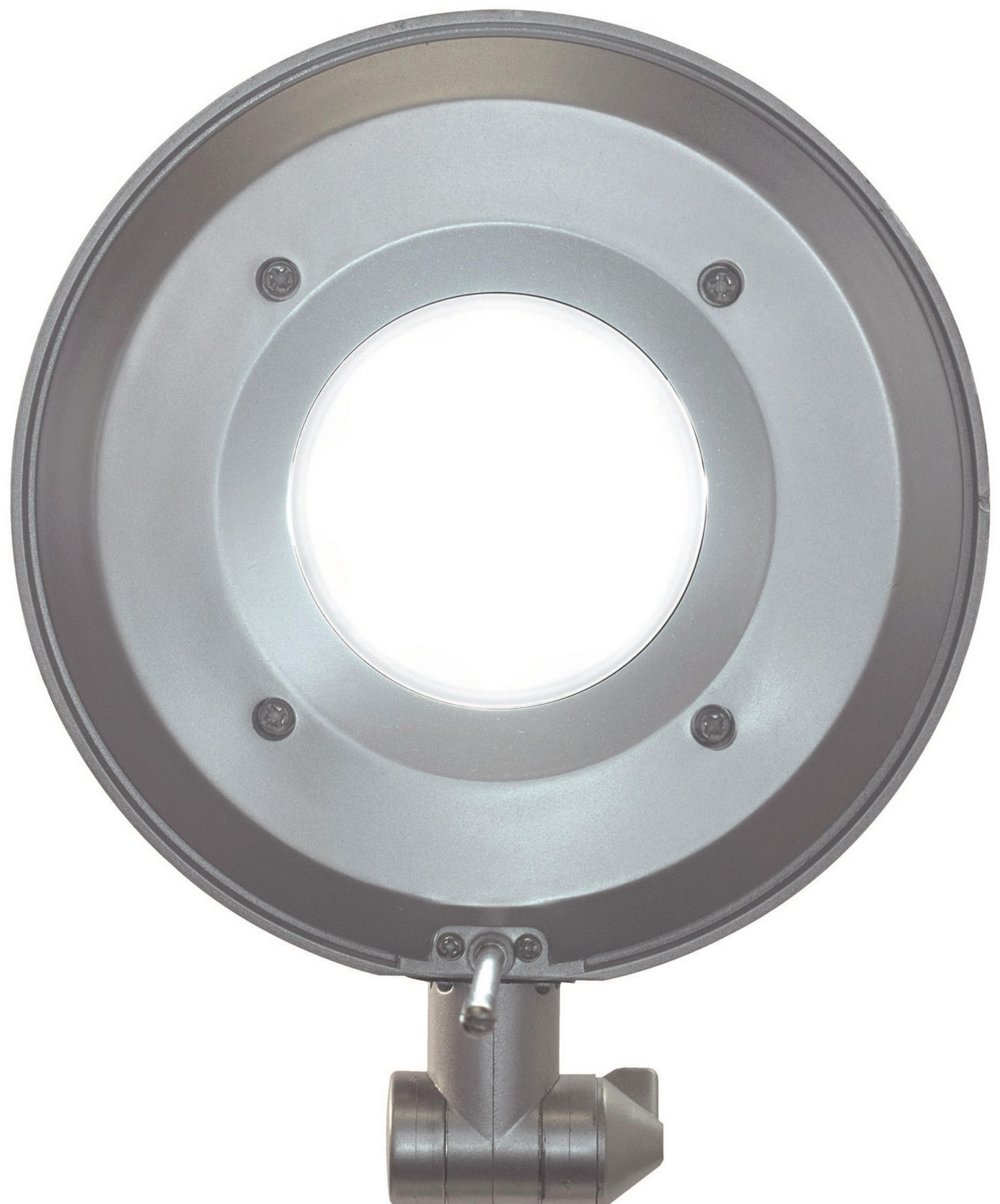 MAULbusiness LED-Tischleuchte