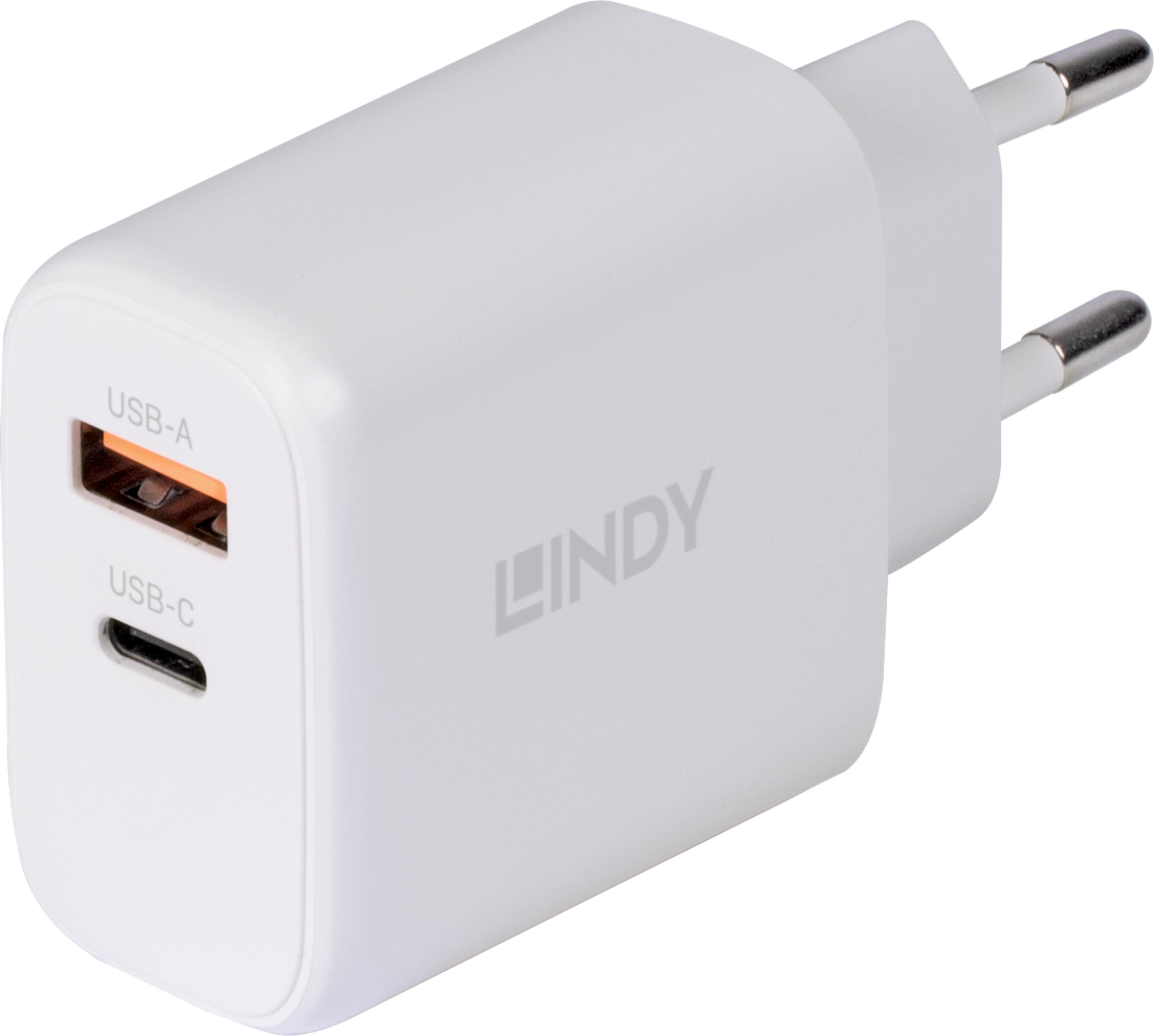 LINDY 65 W USB-C/USB-A GaN Ladeadapter