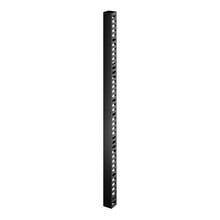 APC Cable Channel Easy Rack 48U