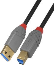 Câble USB LINDY type A - B, 1 m