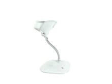 Zebra Stand White