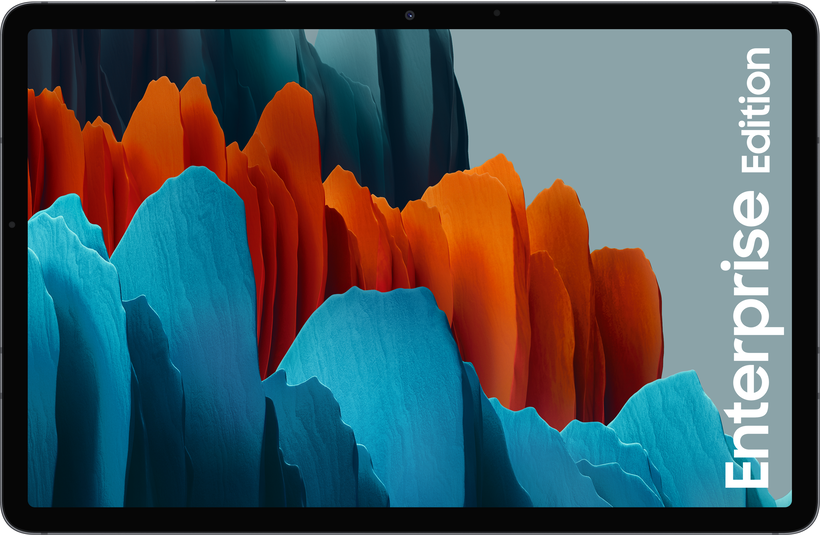 Samsung Galaxy Tab S7 Enterprise Edition