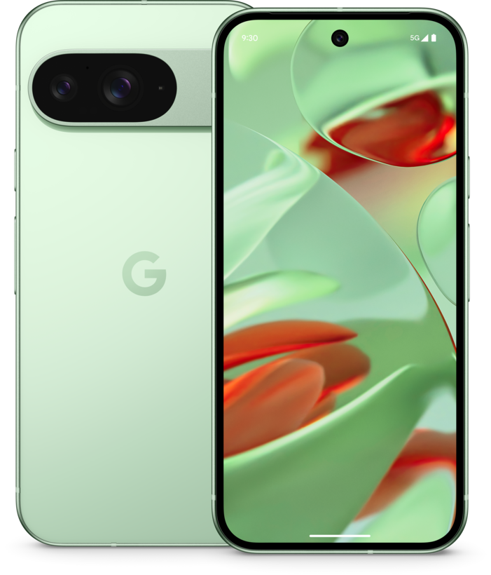 Google Pixel 9 256 GB zimní zelená