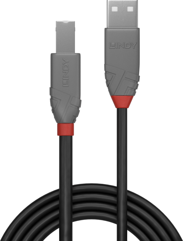 Câble USB LINDY type A - B, 3 m
