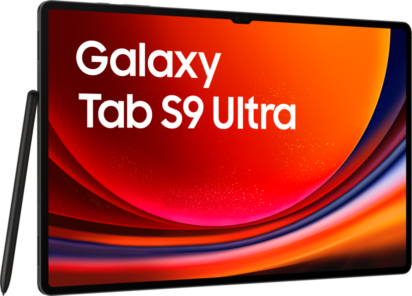 Samsung Galaxy Tab S9 Ultra 256Go graph